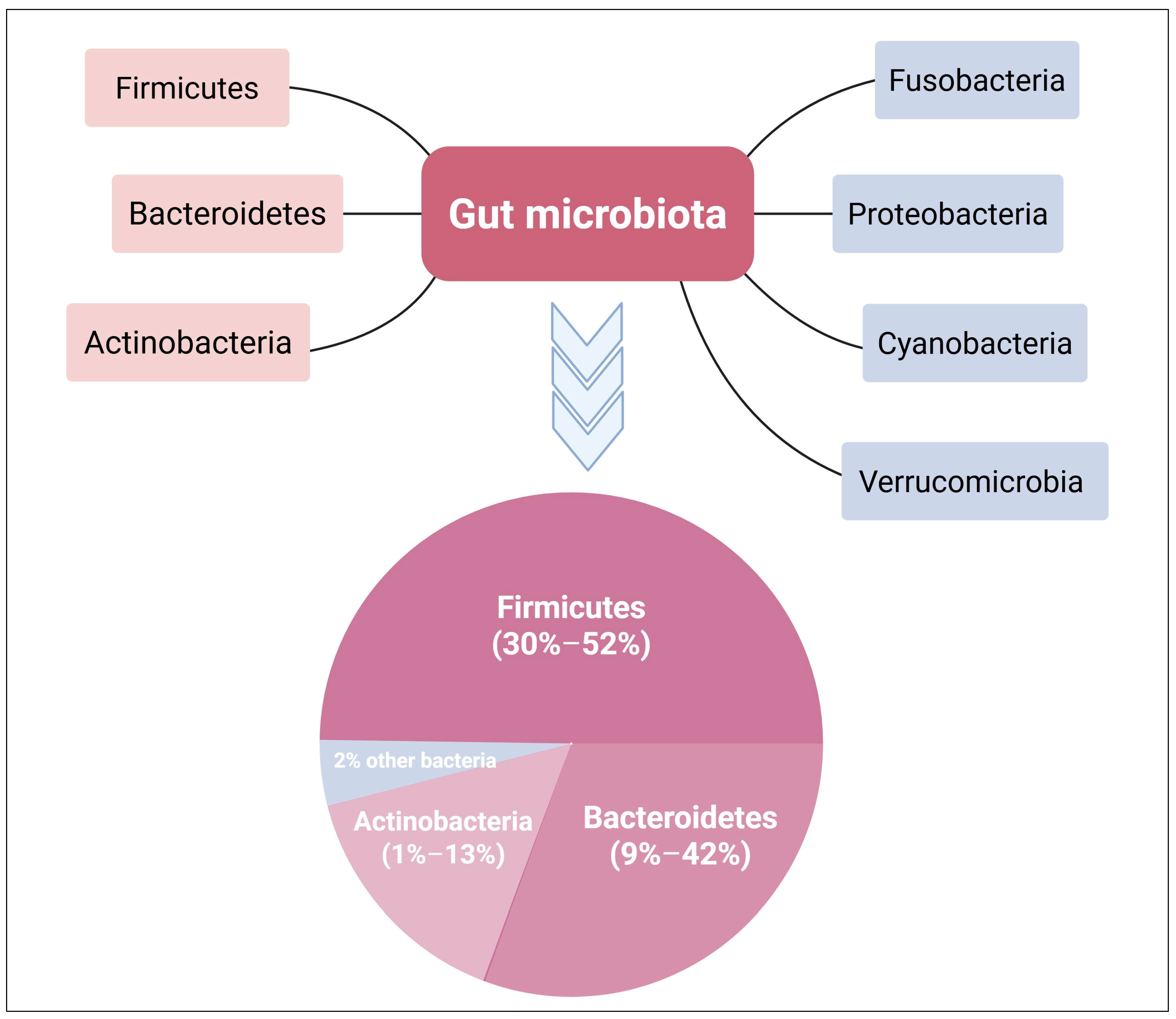 Diseases 13 00115 g001