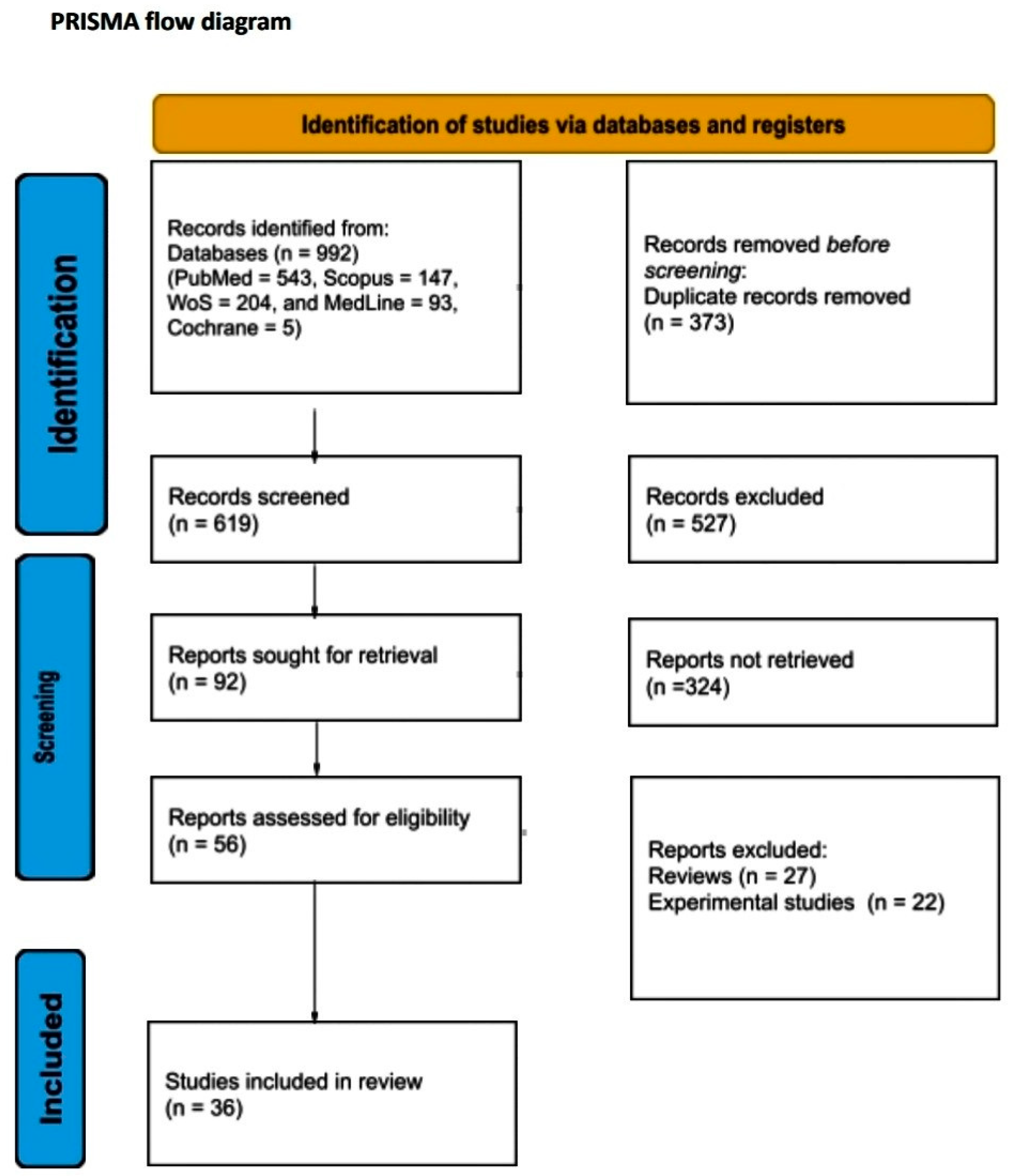 Diseases 13 00124 g001