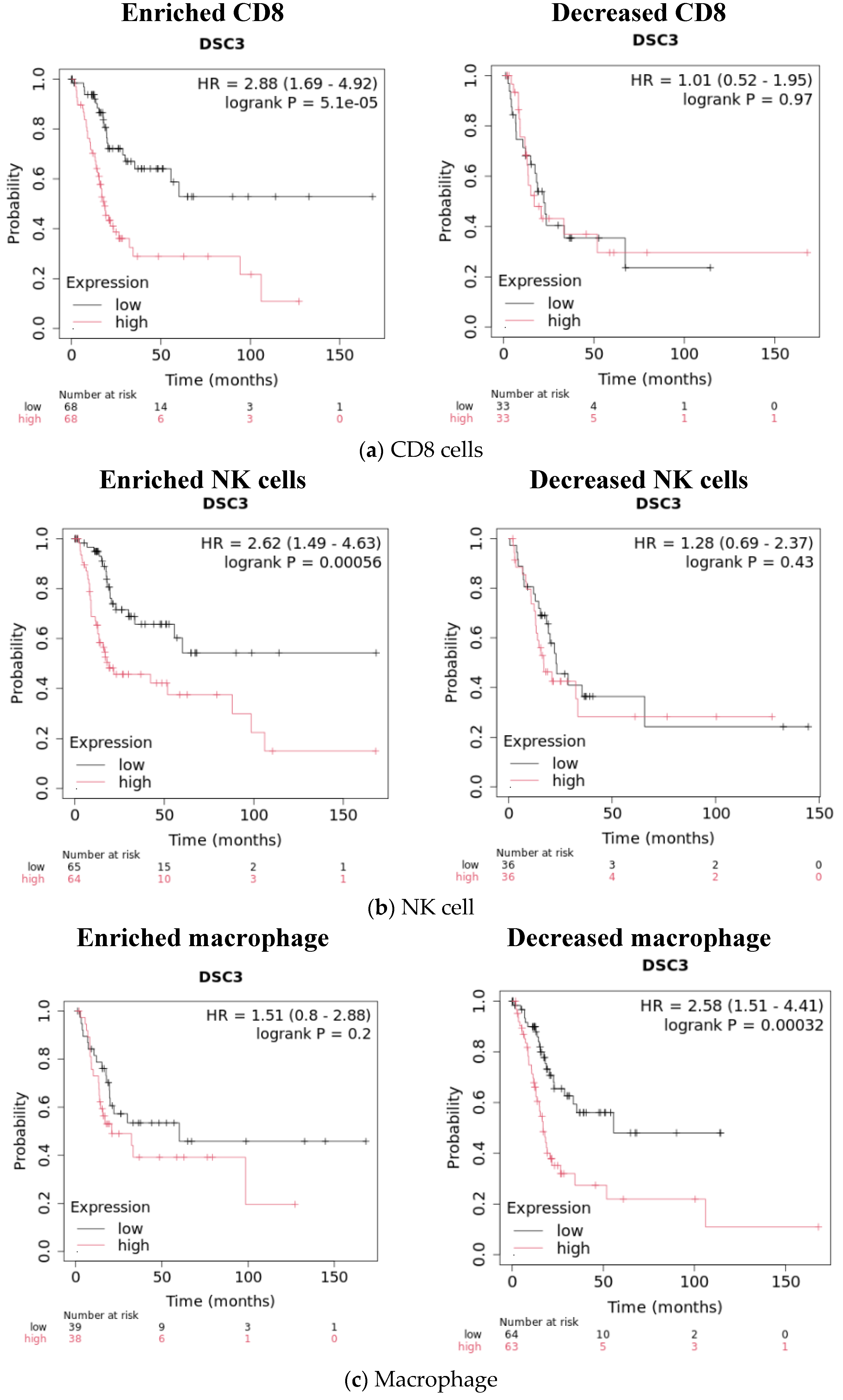 Diseases 13 00131 g005