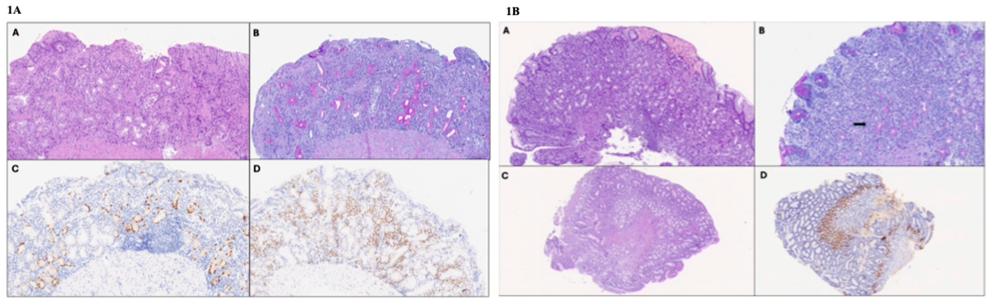 Diseases 13 00133 g001