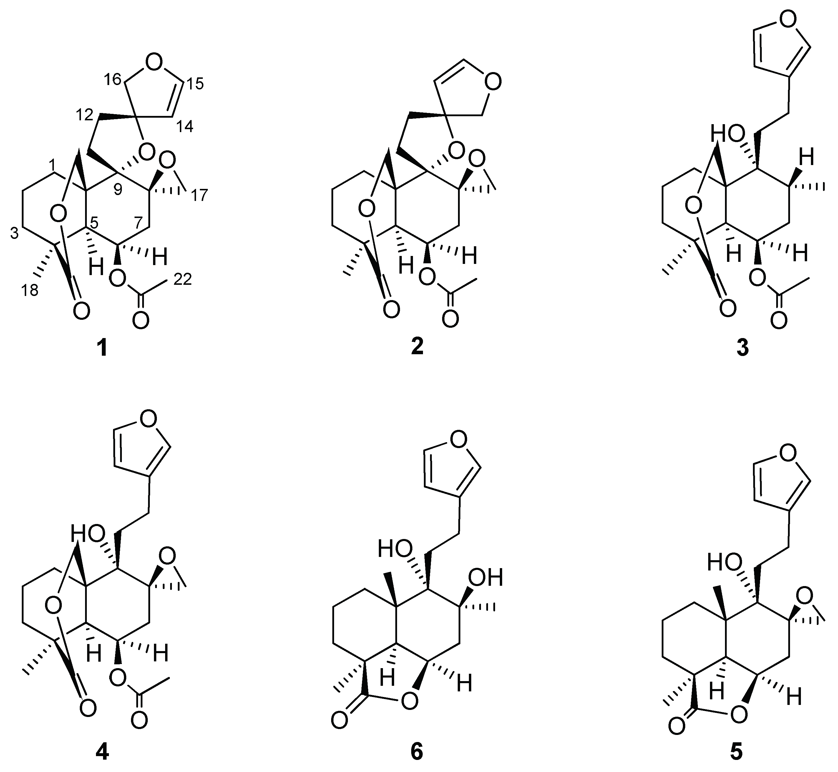 Diseases 13 00140 g002