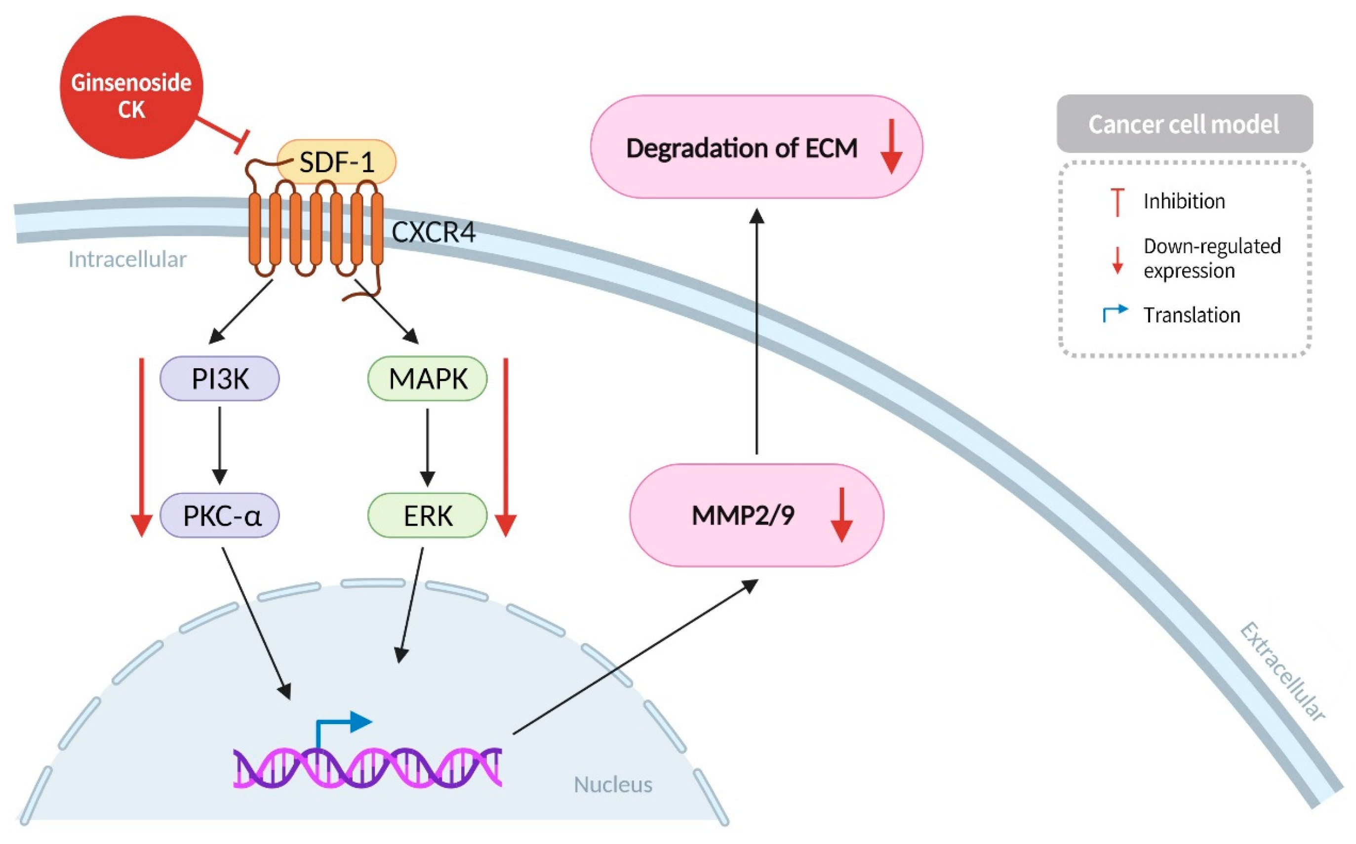 Diseases 13 00143 g005