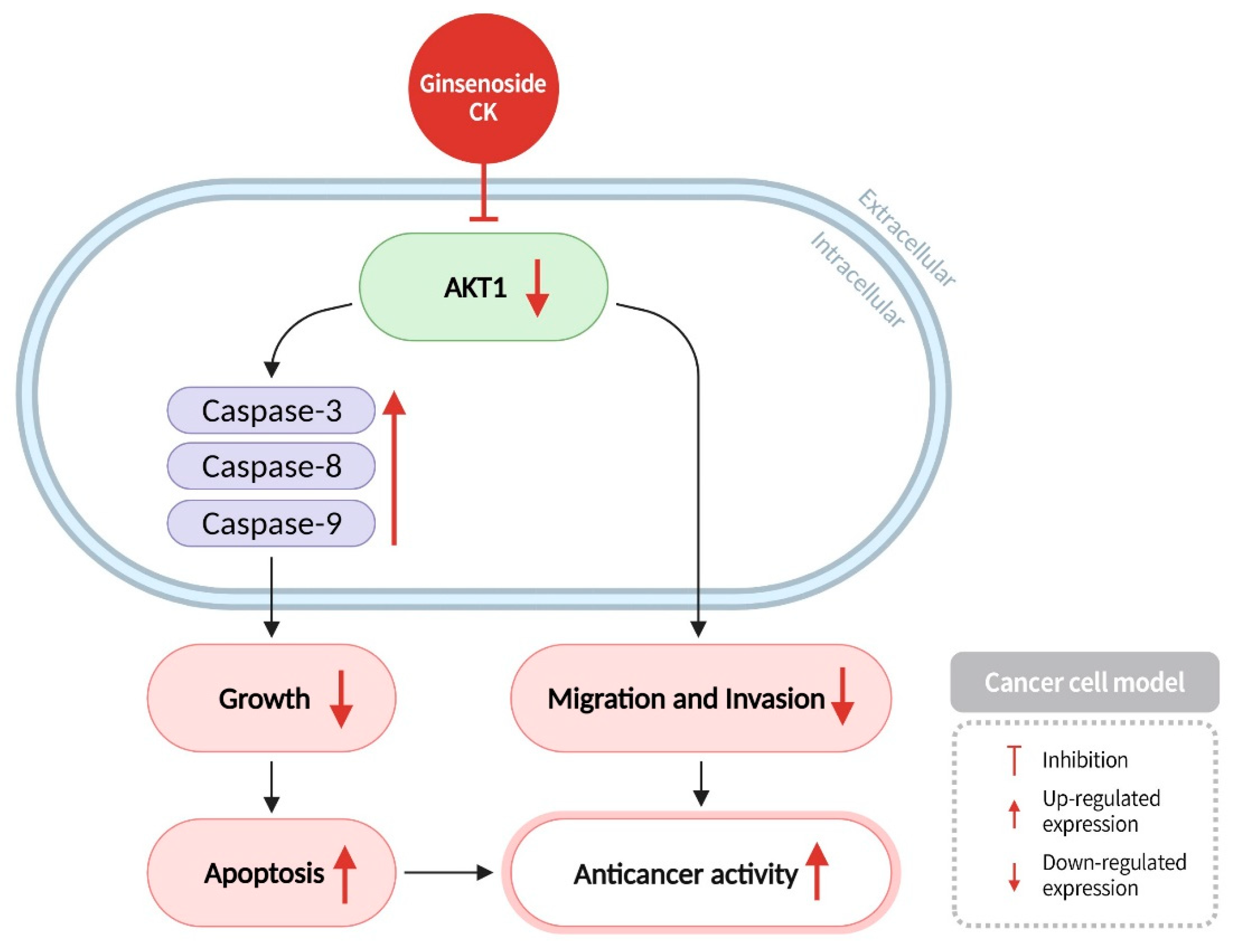 Diseases 13 00143 g010