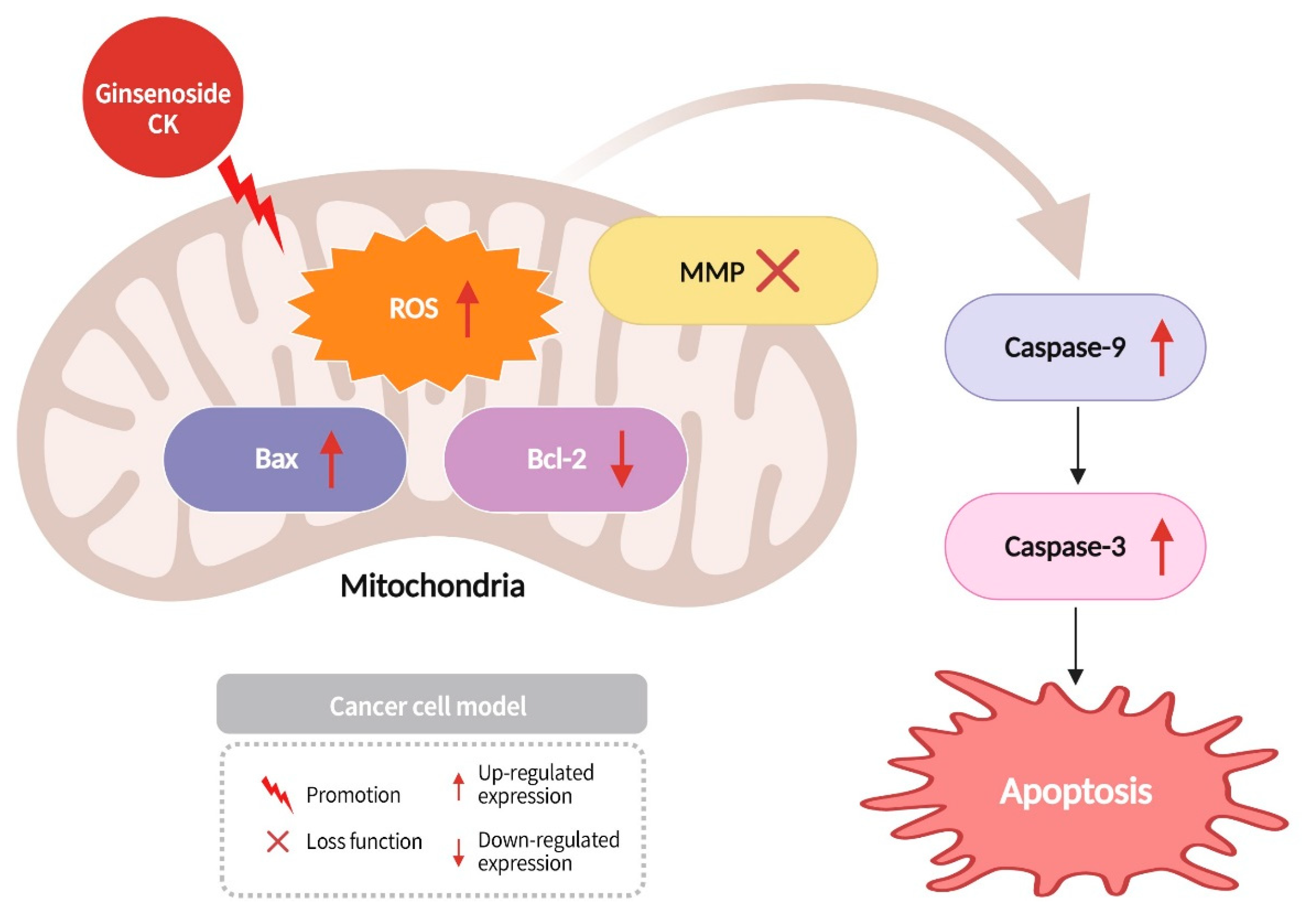 Diseases 13 00143 g011