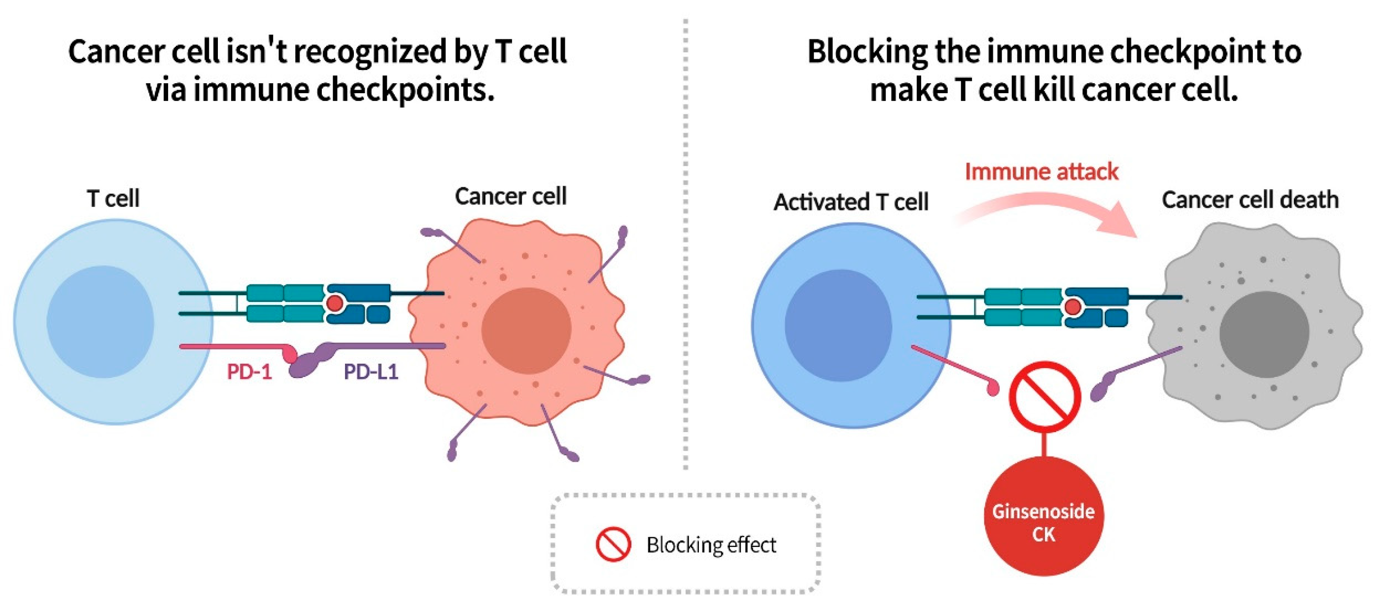 Diseases 13 00143 g013