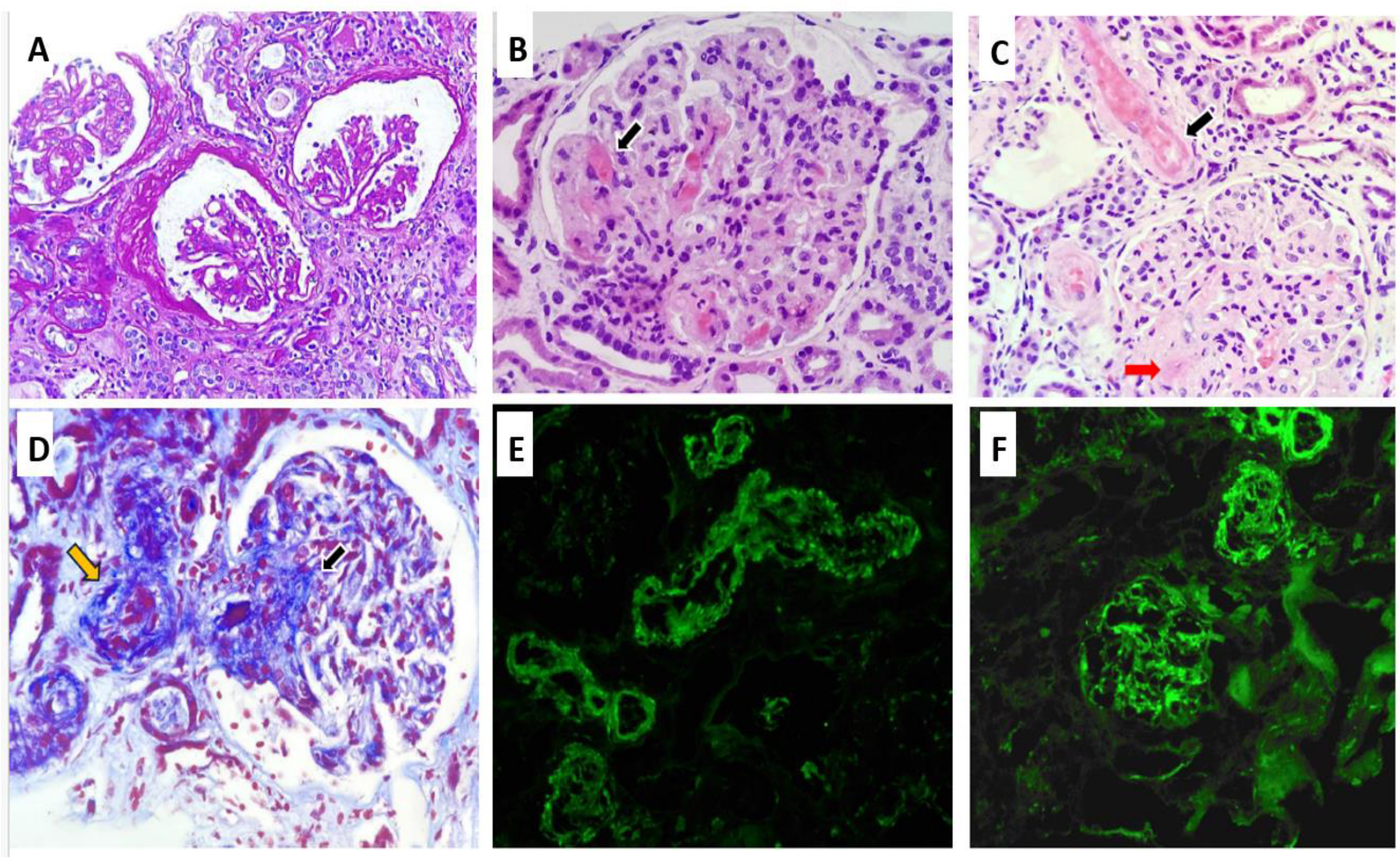 Diseases 13 00153 g001