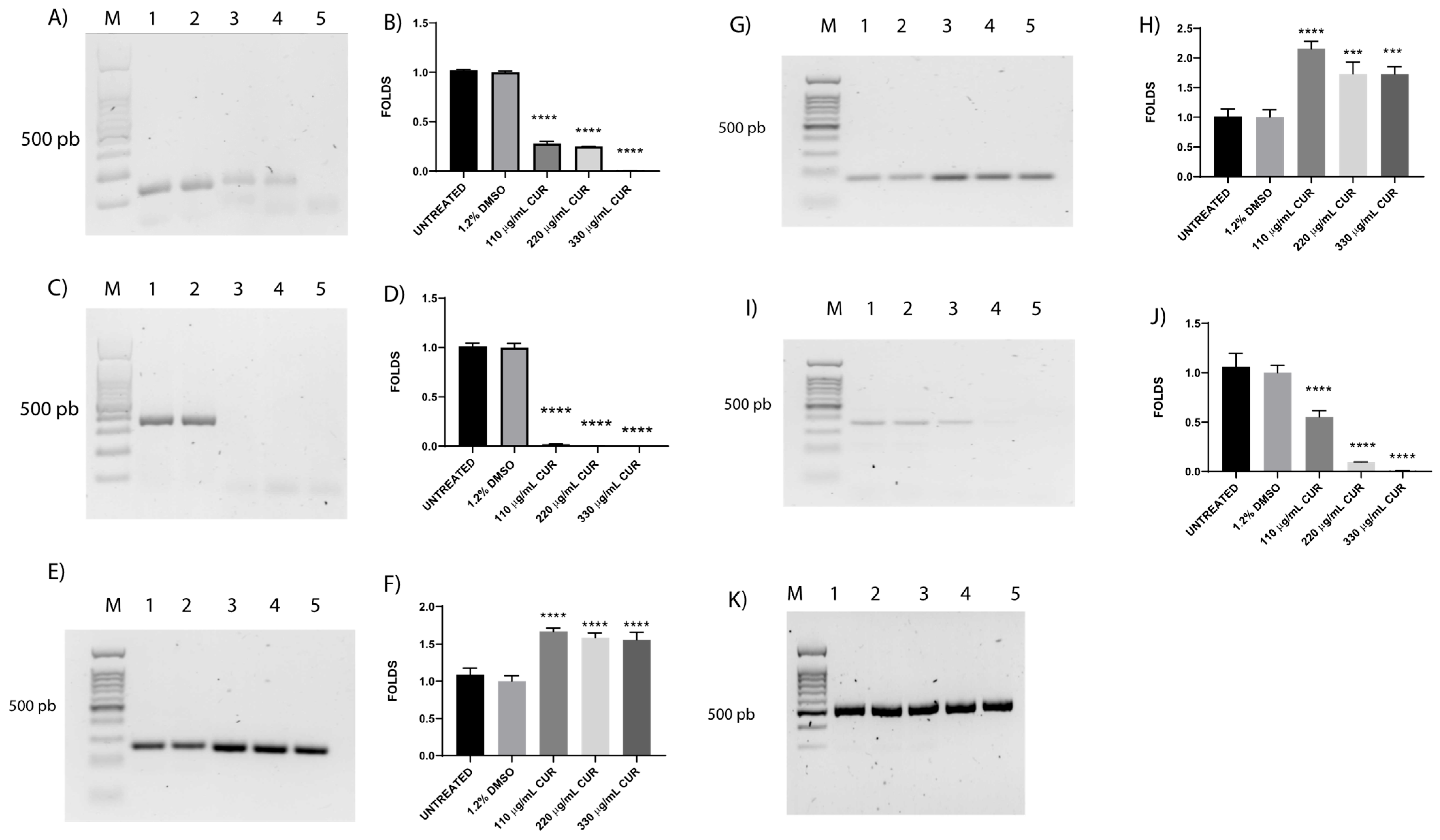 Diseases 13 00154 g003