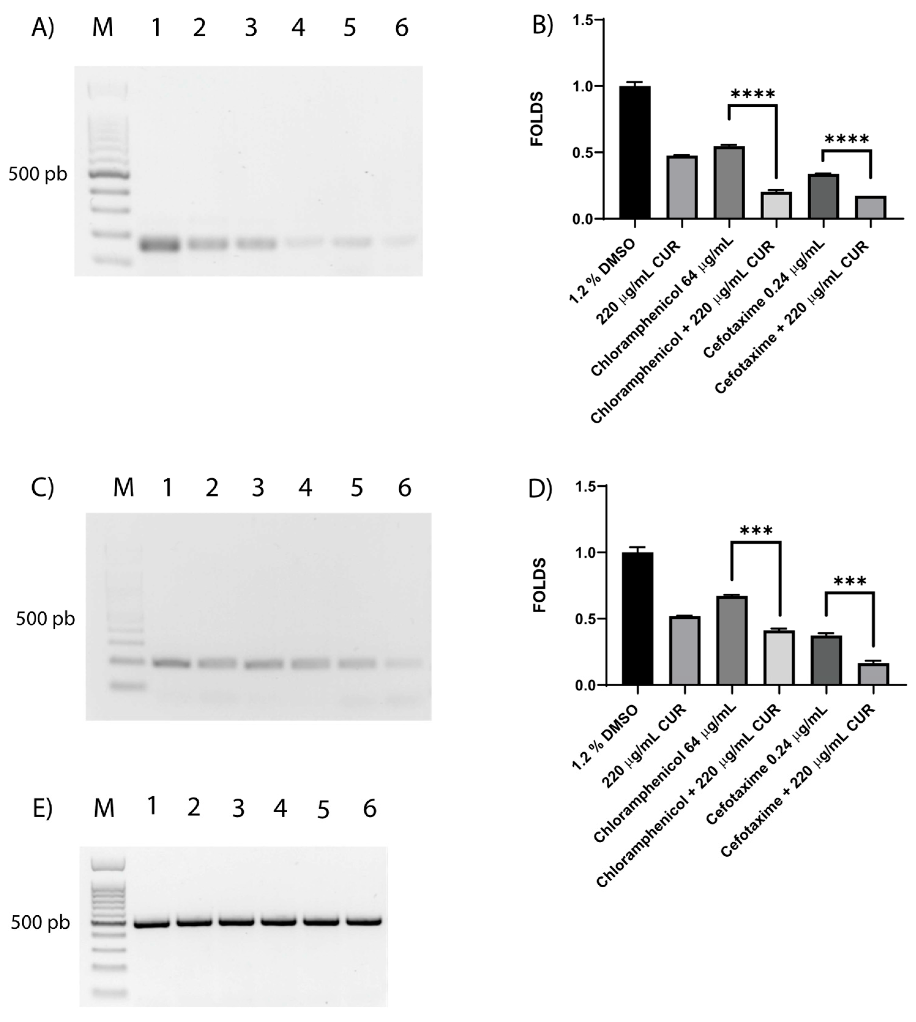Diseases 13 00154 g005