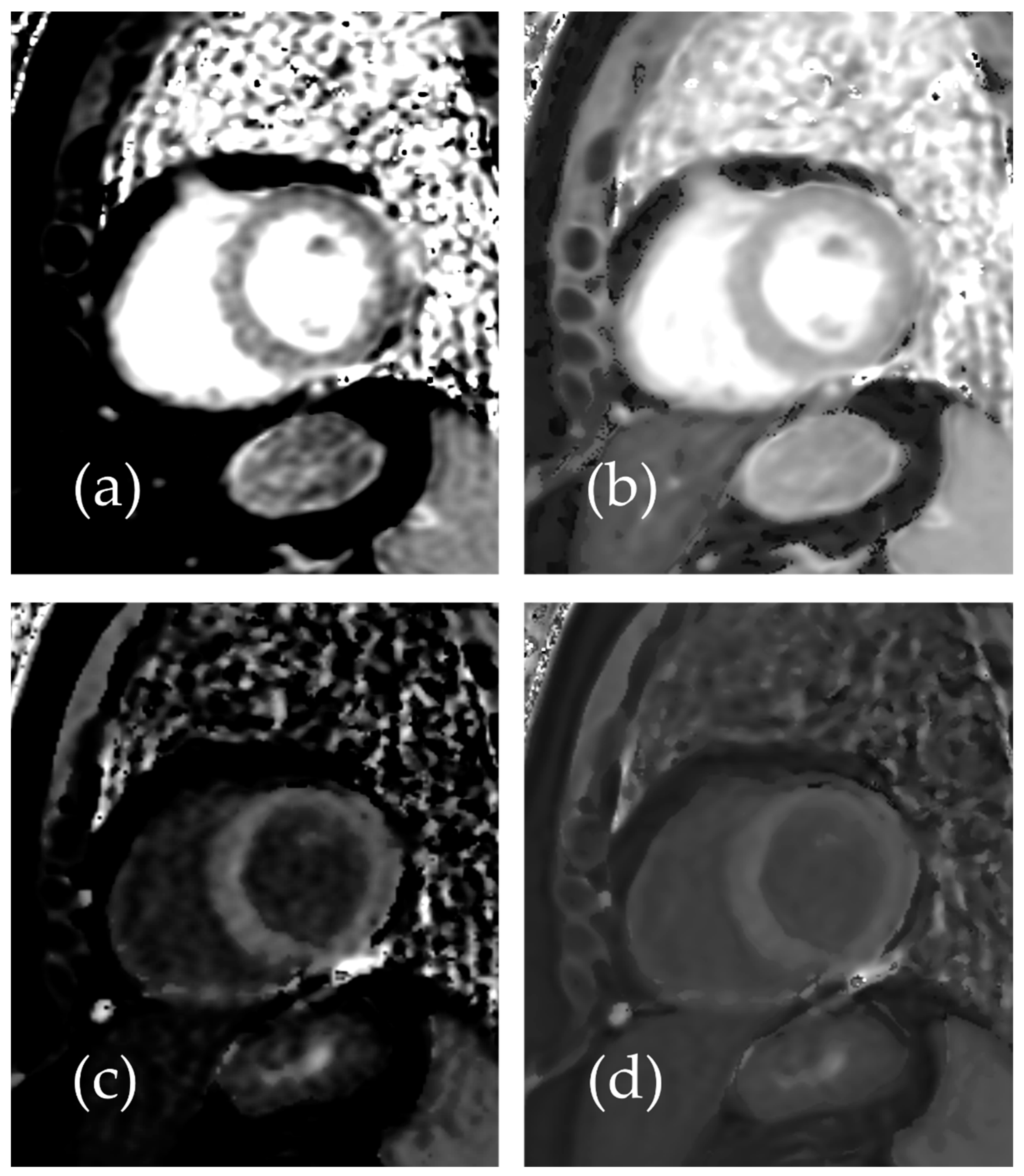 Diseases 13 00157 g003