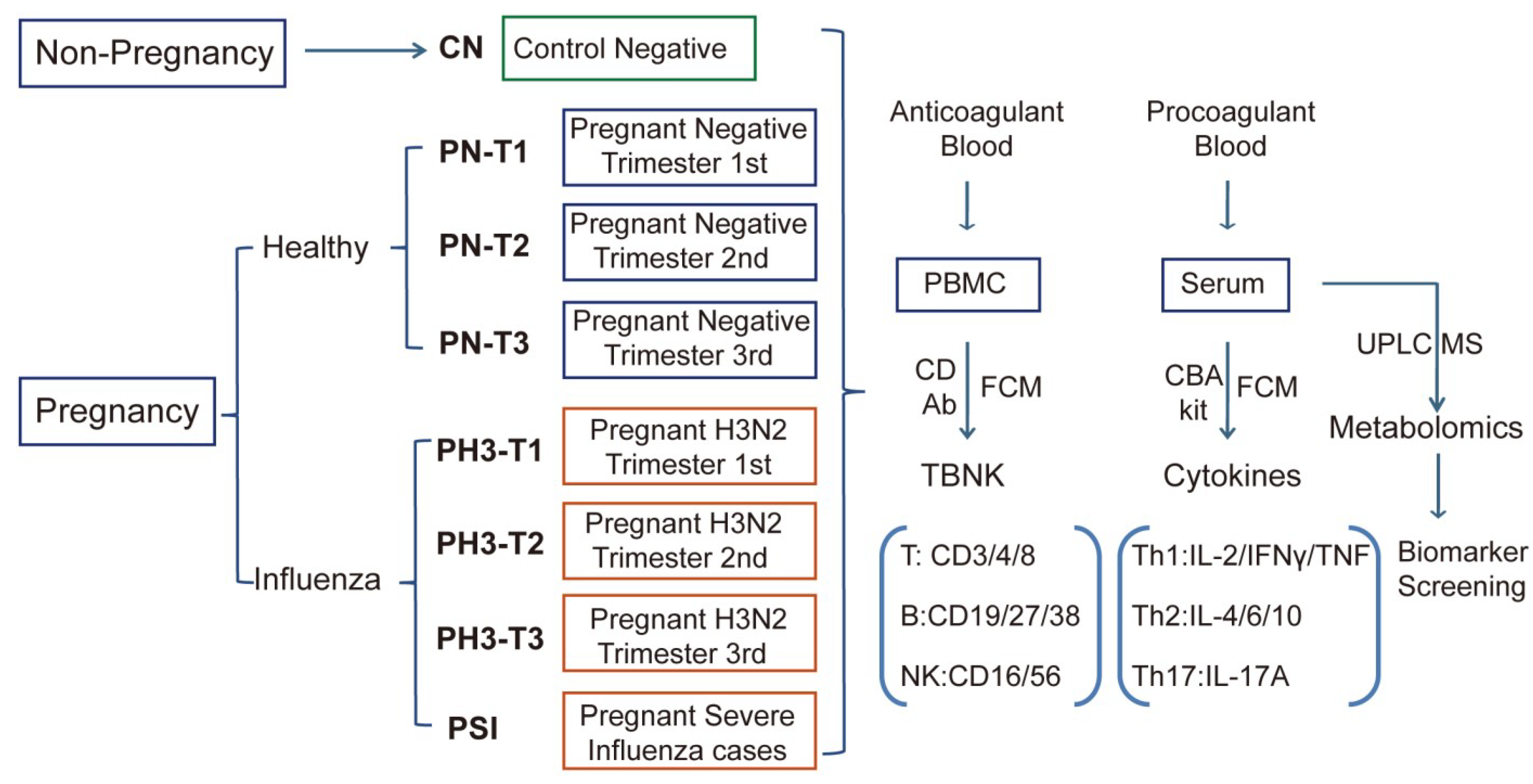 Diseases 13 00182 g001