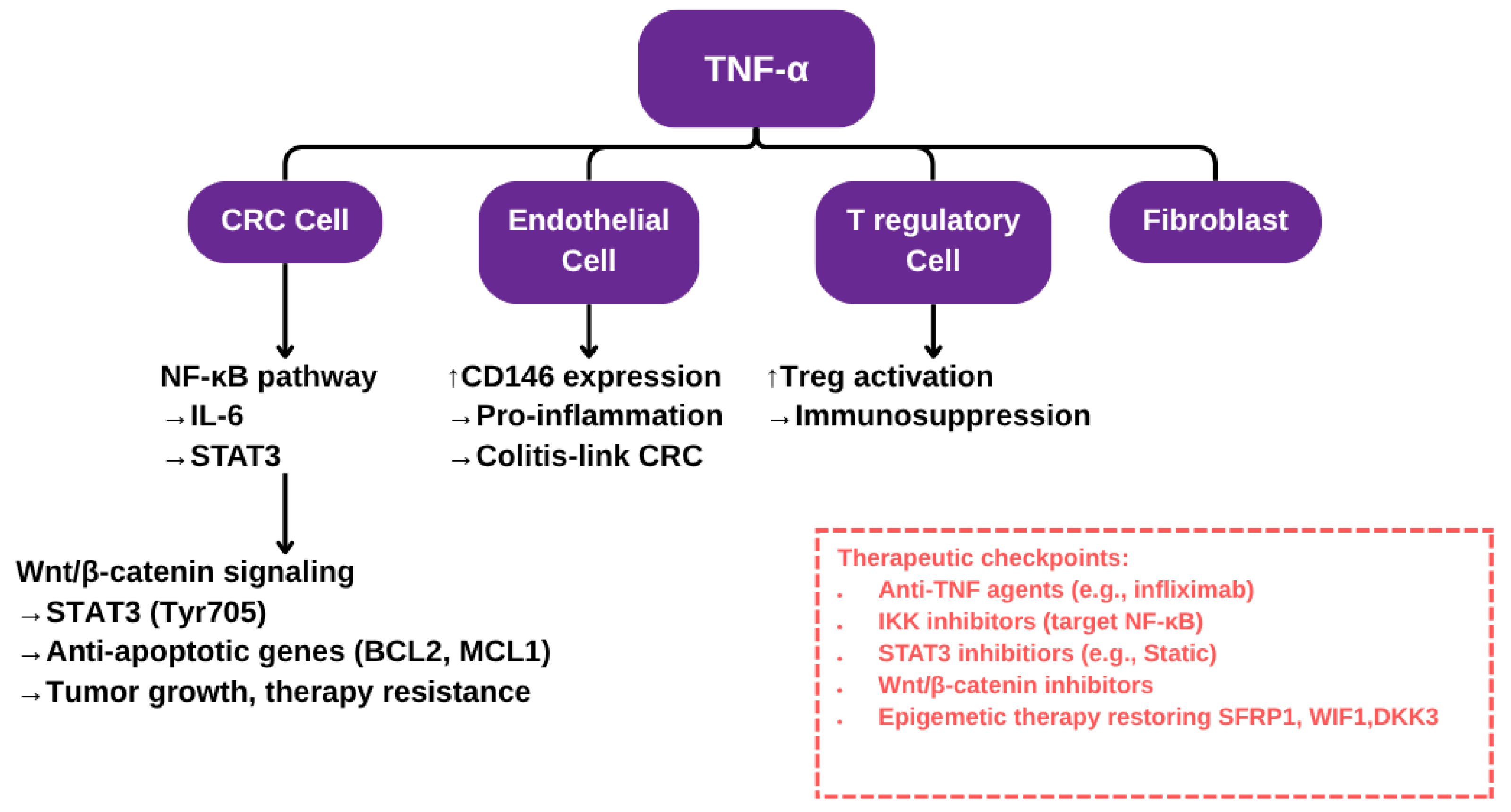 Diseases 13 00185 g001