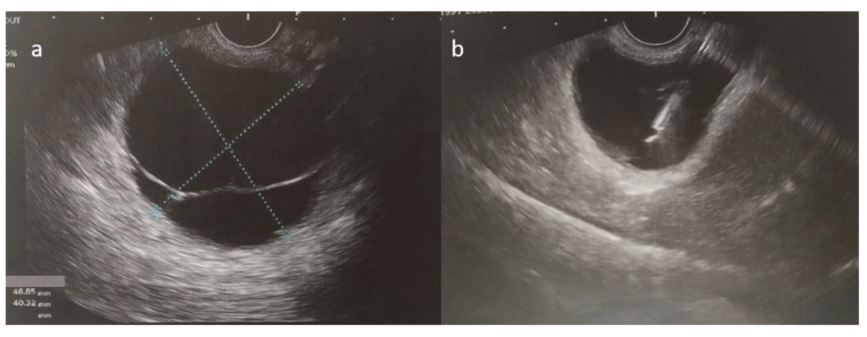 Diseases 13 00203 g005