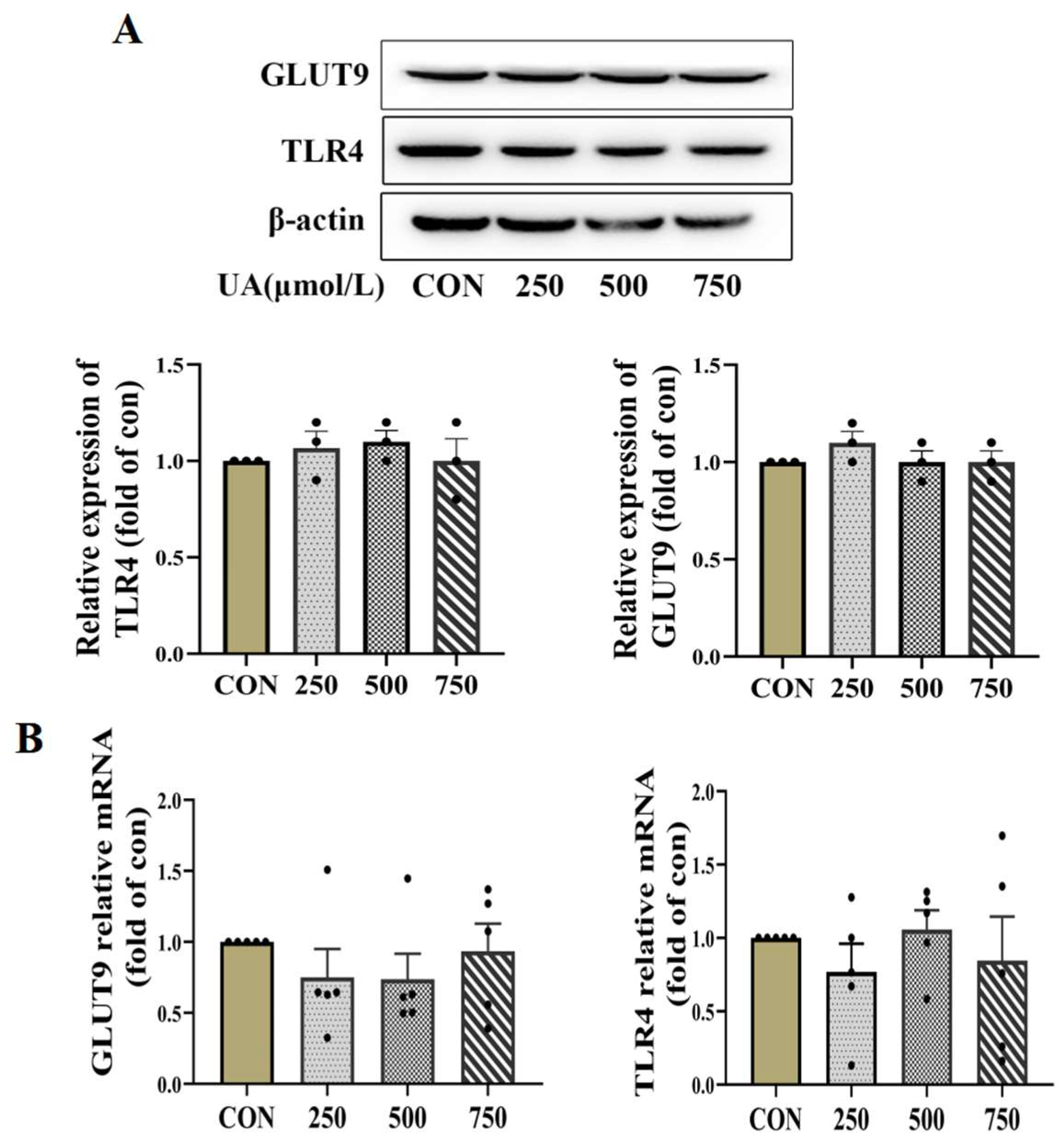 Diseases 13 00213 g003