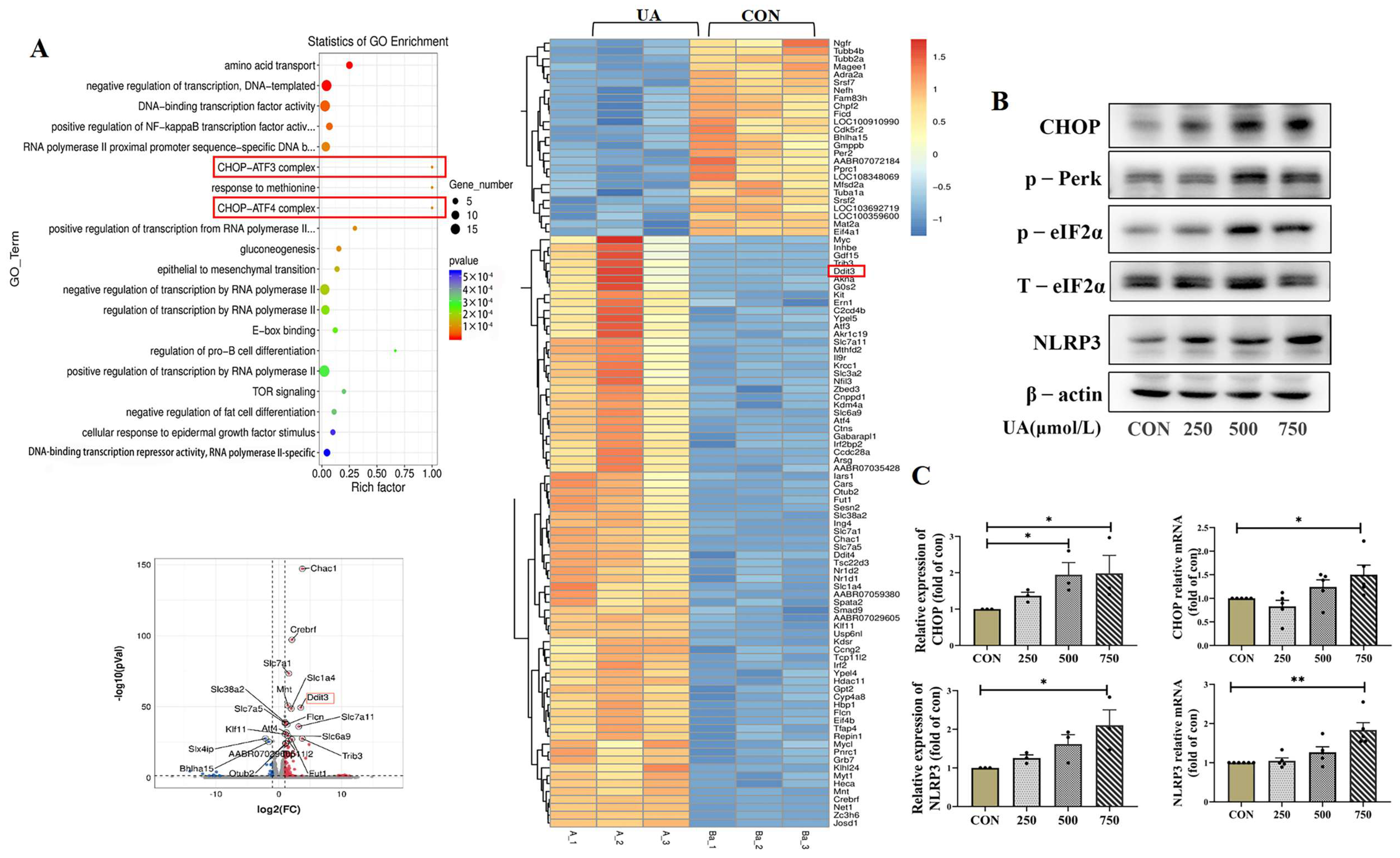 Diseases 13 00213 g004