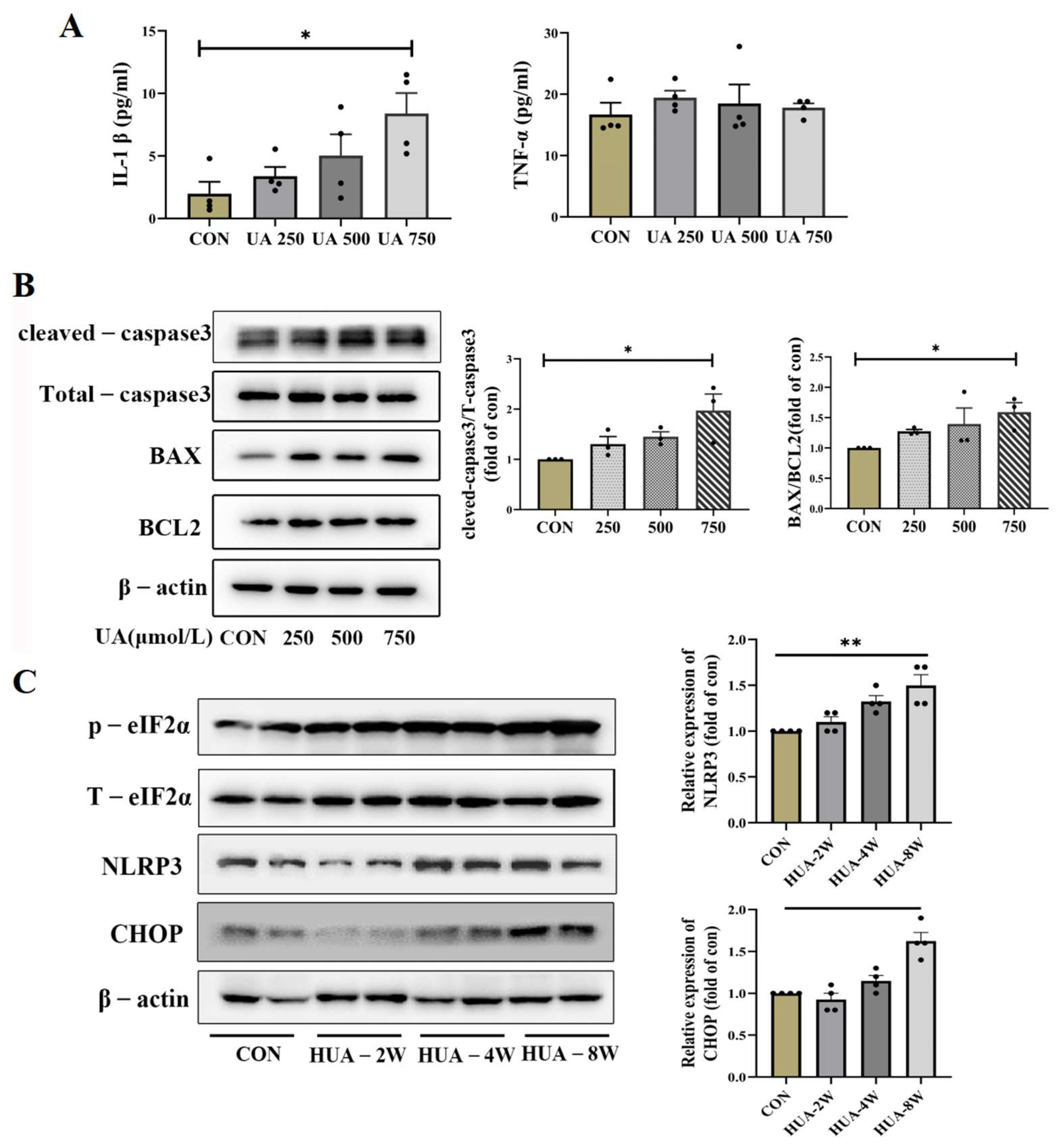 Diseases 13 00213 g005