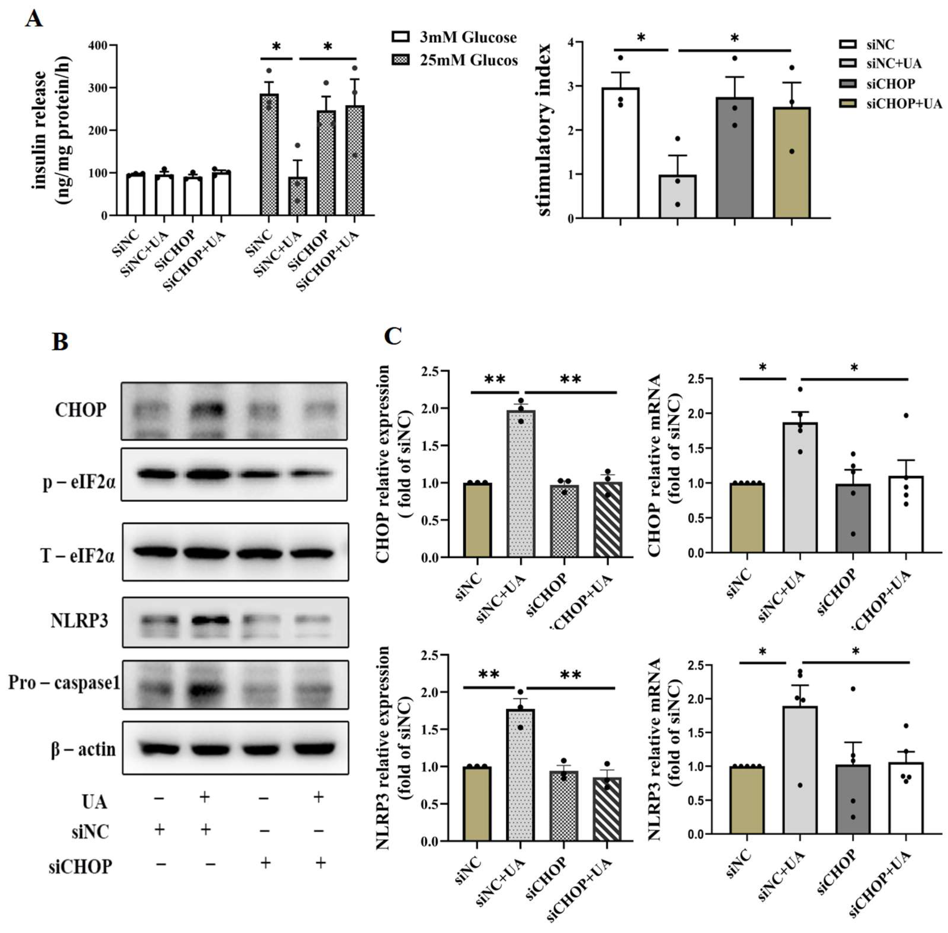 Diseases 13 00213 g006