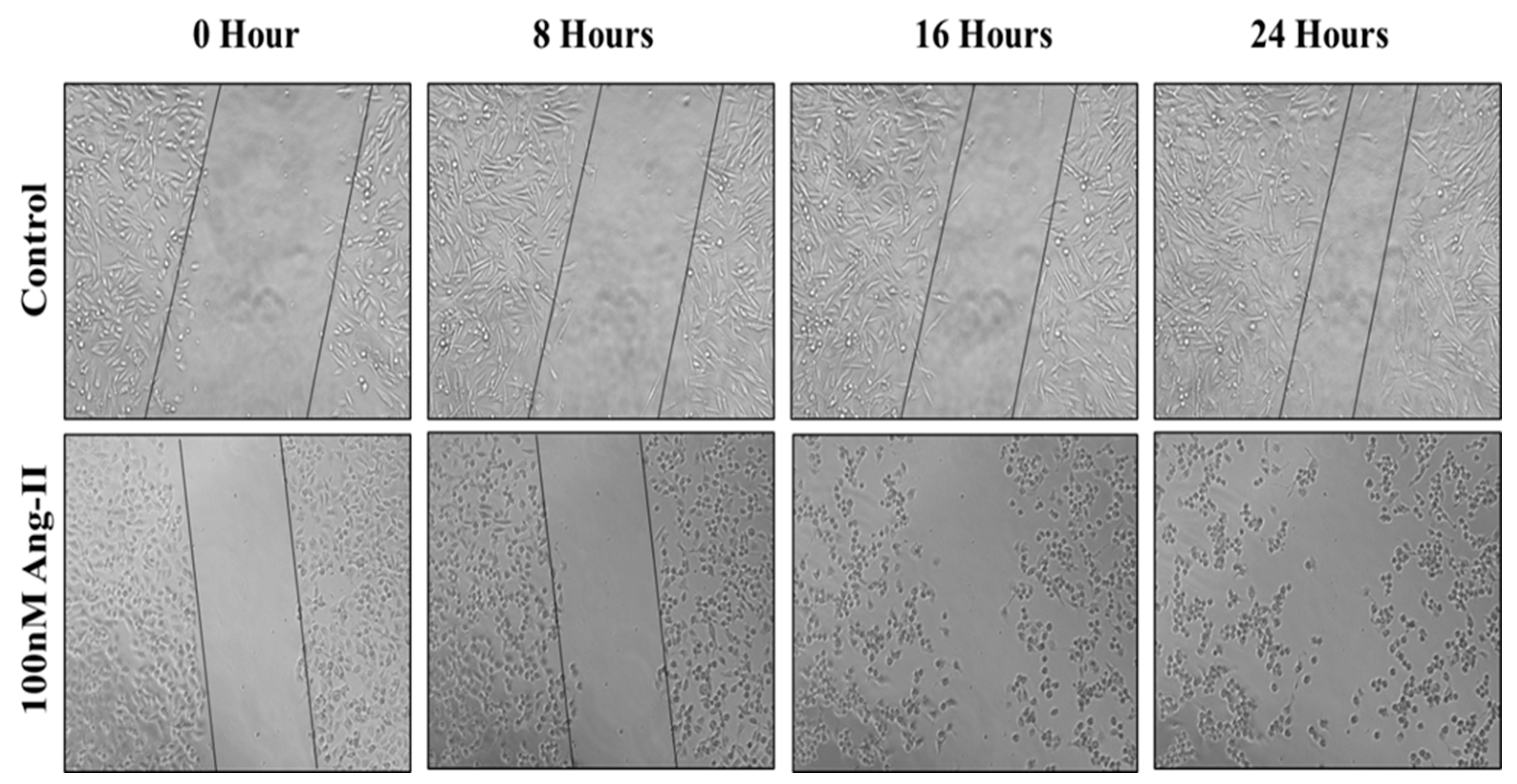 Diseases 13 00216 g007
