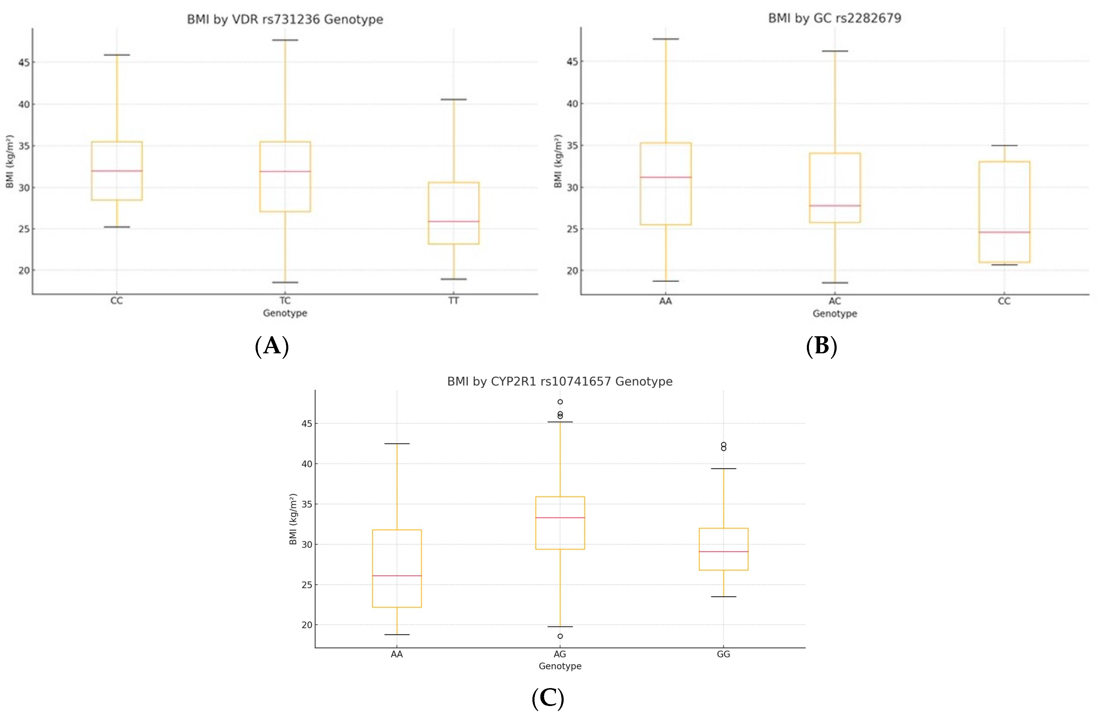 Diseases 13 00219 g001