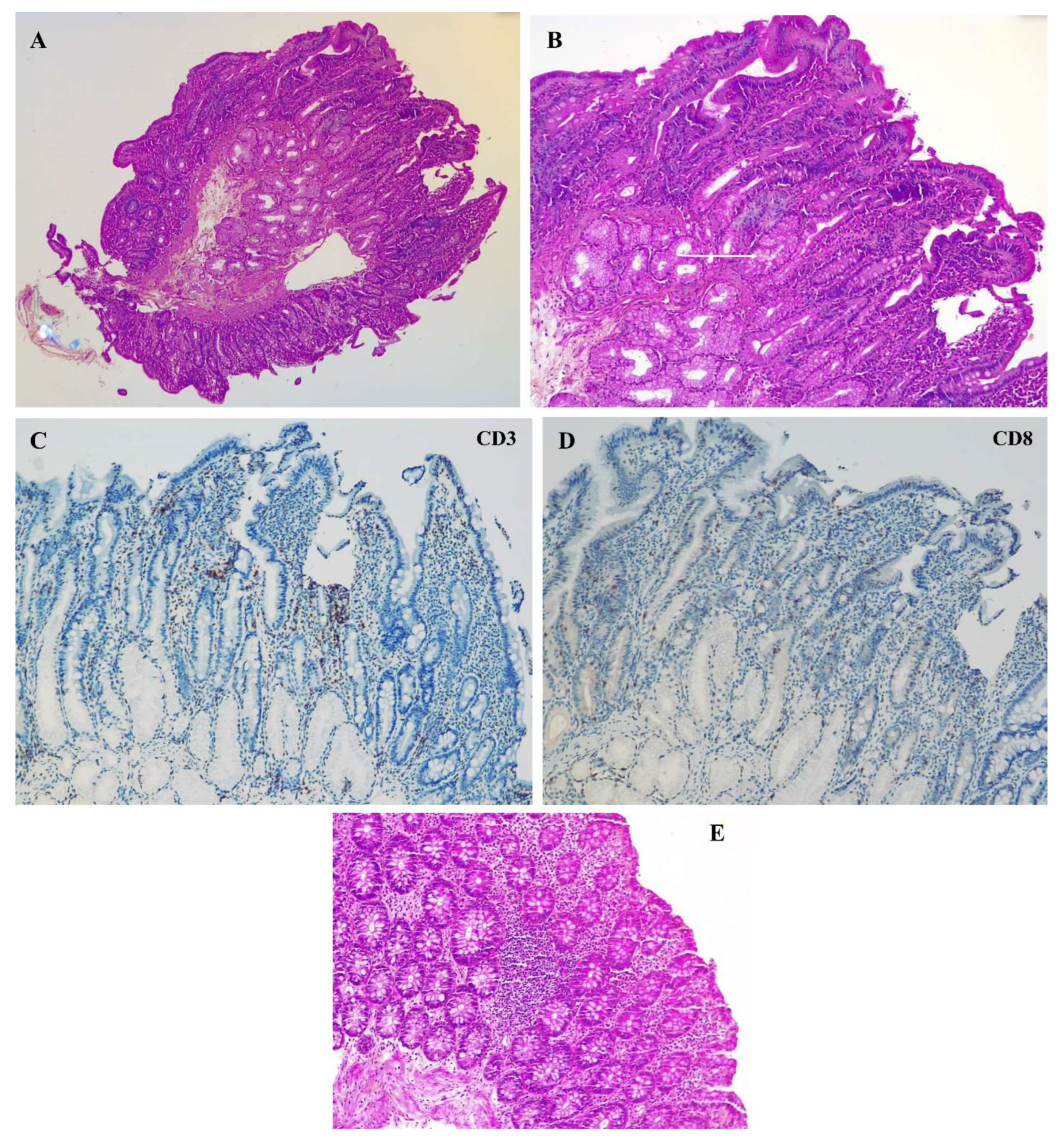 Diseases 13 00223 g001