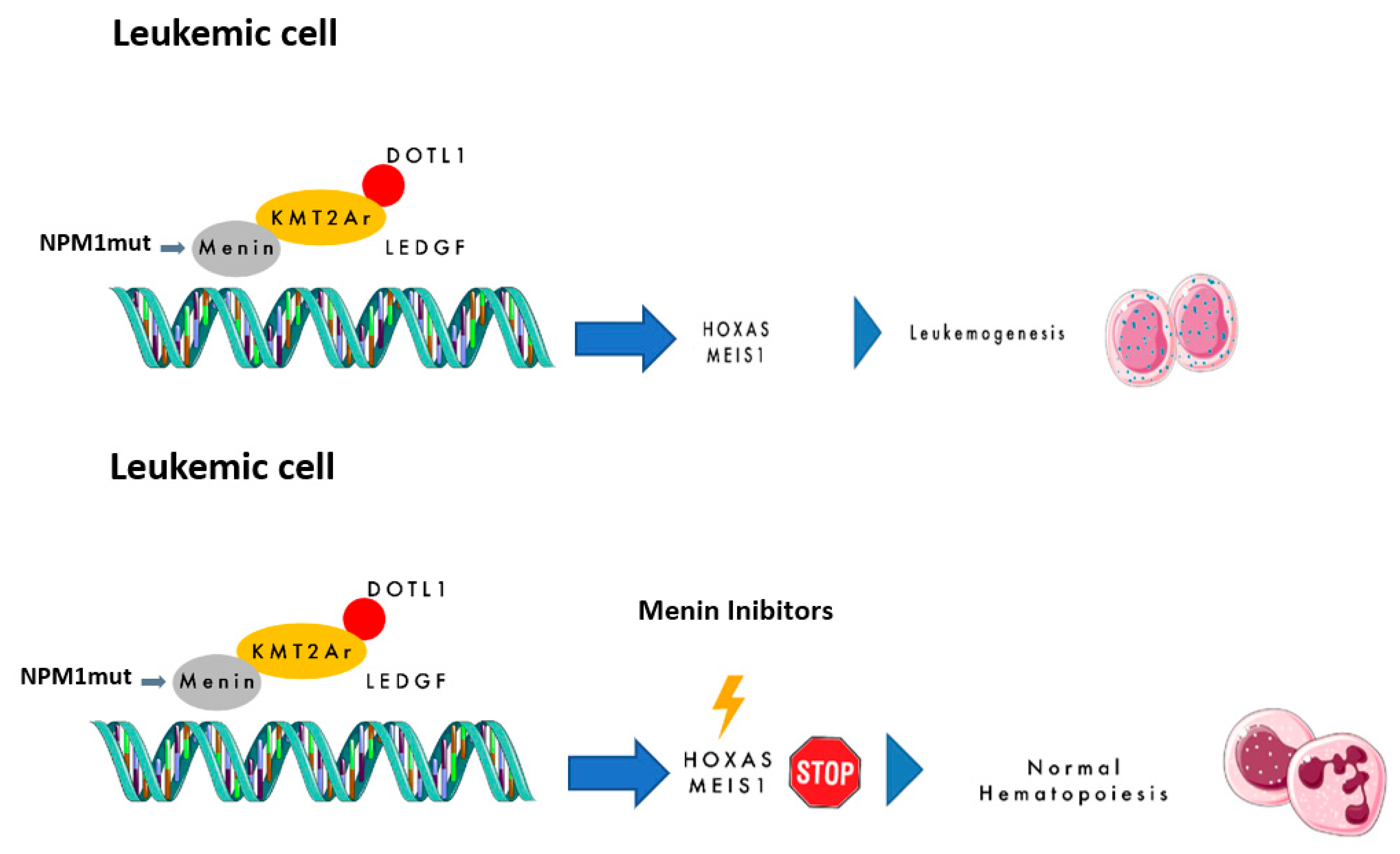 Diseases 13 00227 g001