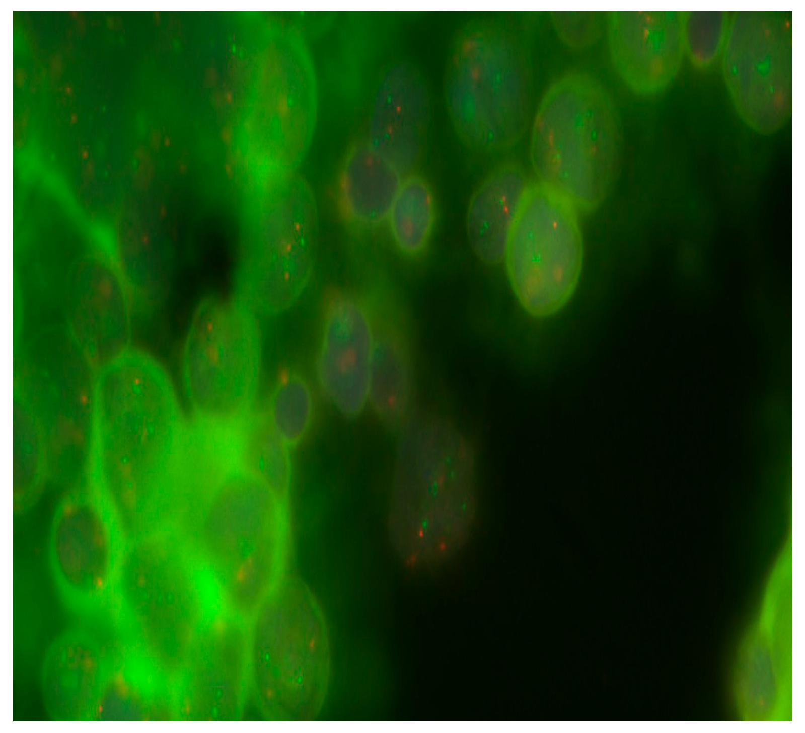 Diseases 13 00238 g002