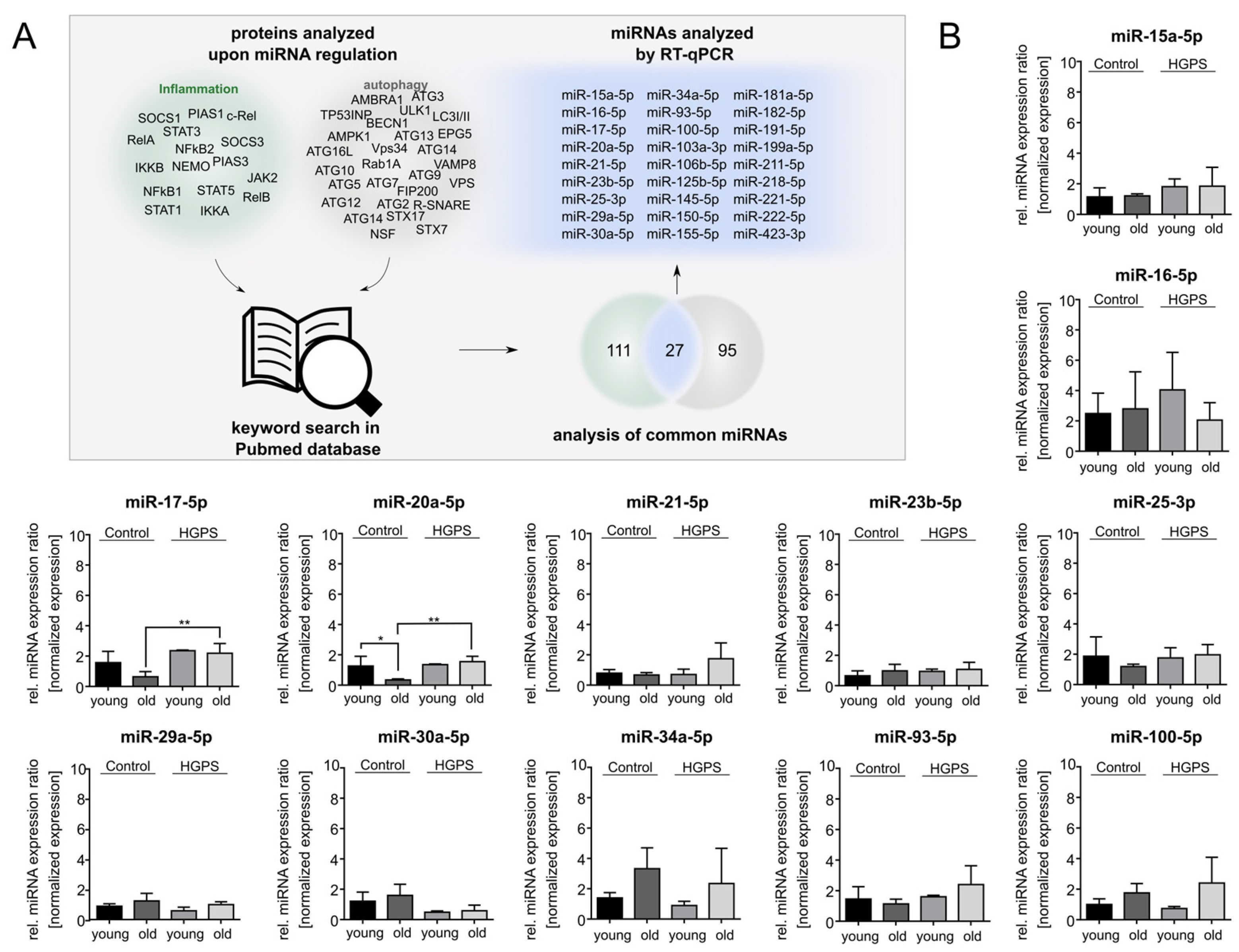 Diseases 13 00245 g002a Diseases 13 00245 g002a