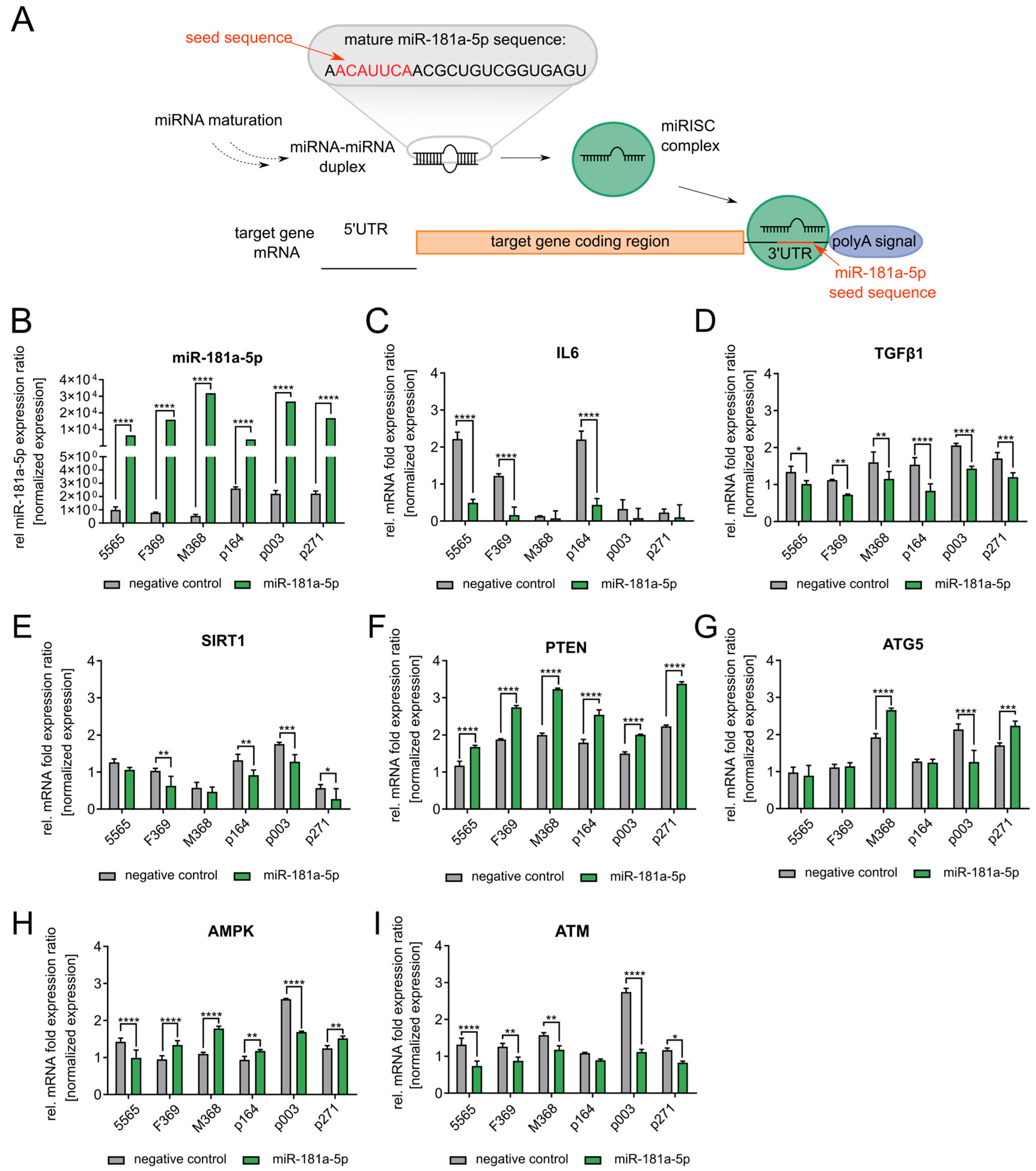 Diseases 13 00245 g003 Diseases 13 00245 g003