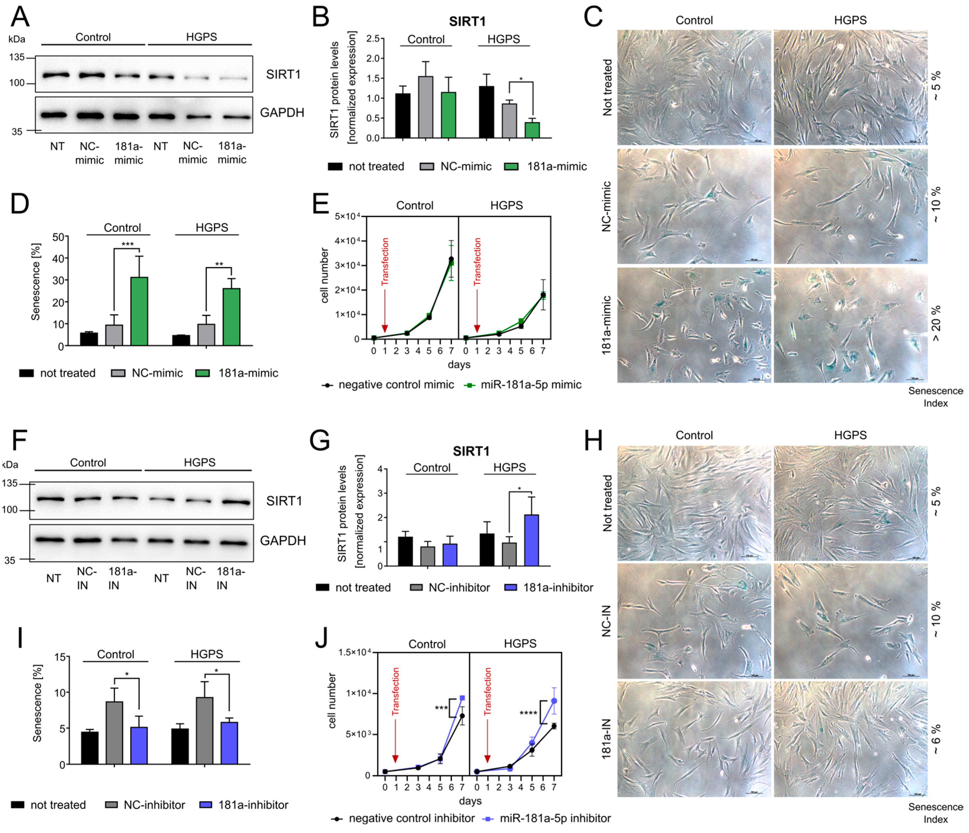 Diseases 13 00245 g005 Diseases 13 00245 g005