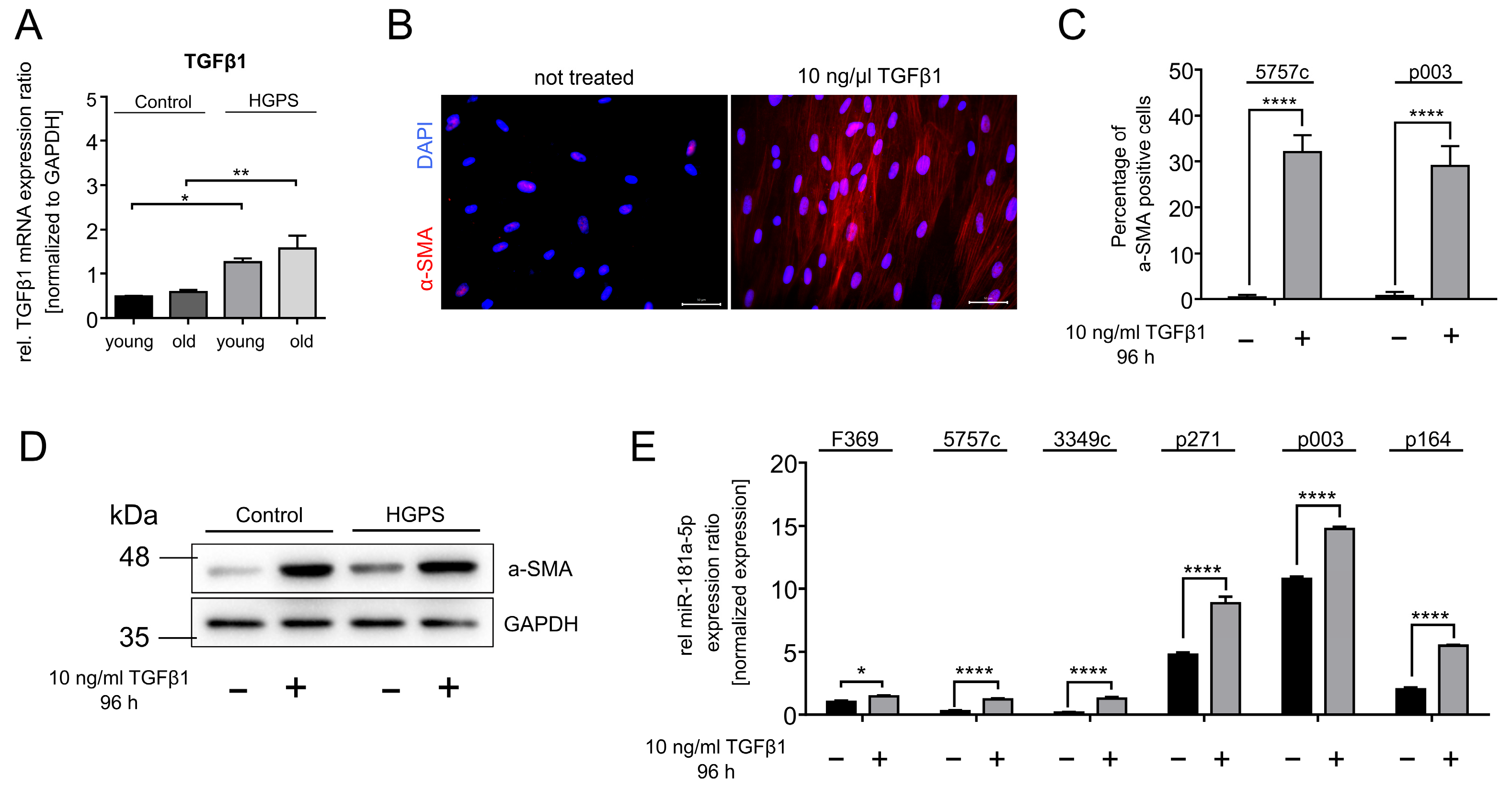 Diseases 13 00245 g006 Diseases 13 00245 g006