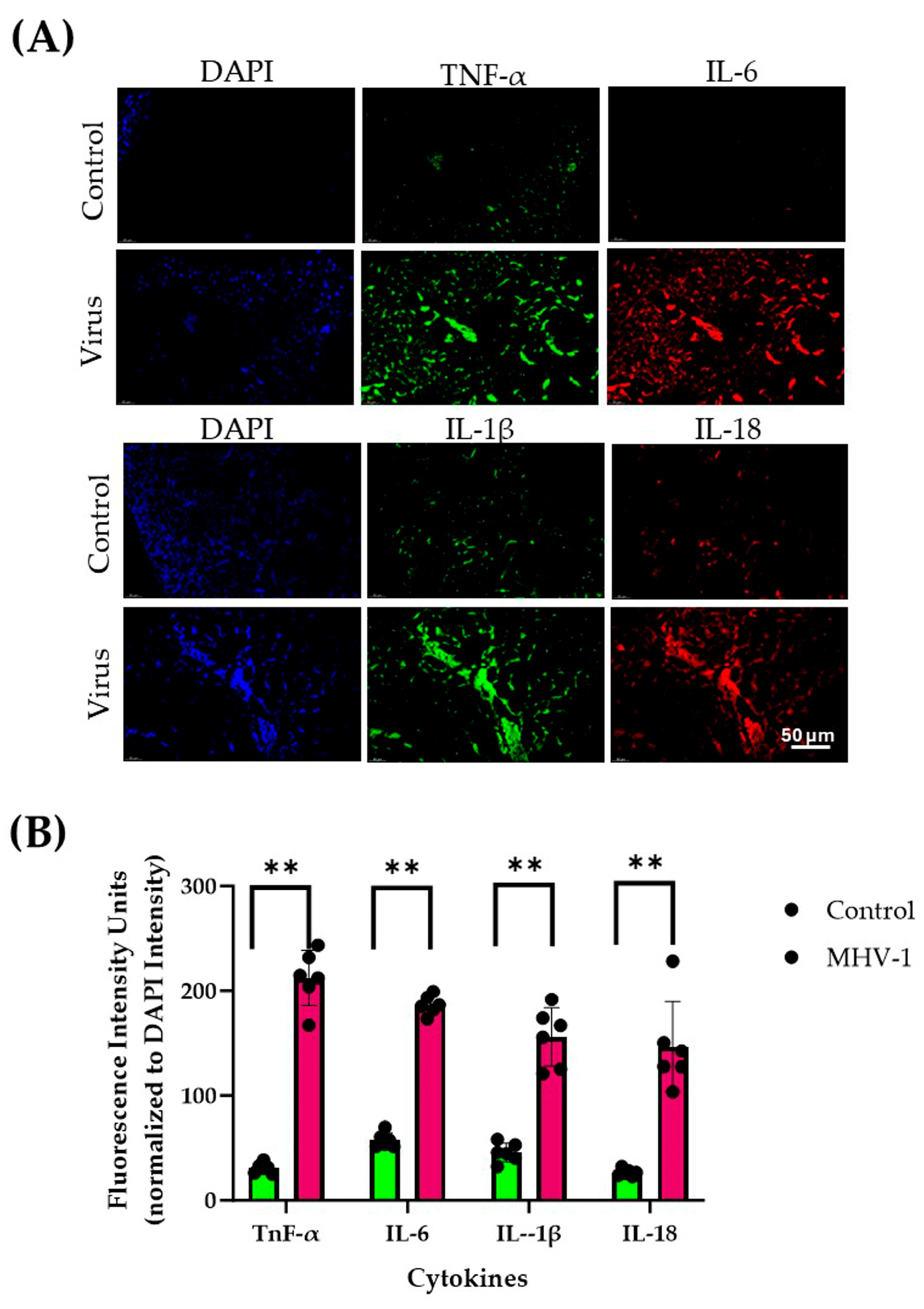 Diseases 13 00246 g001 Diseases 13 00246 g001