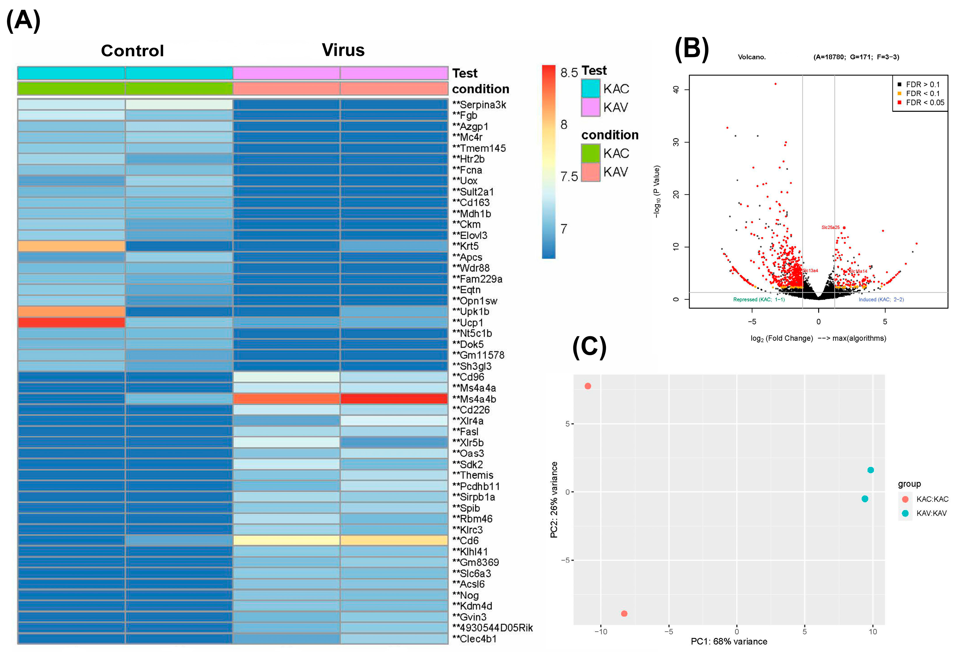 Diseases 13 00246 g004 Diseases 13 00246 g004
