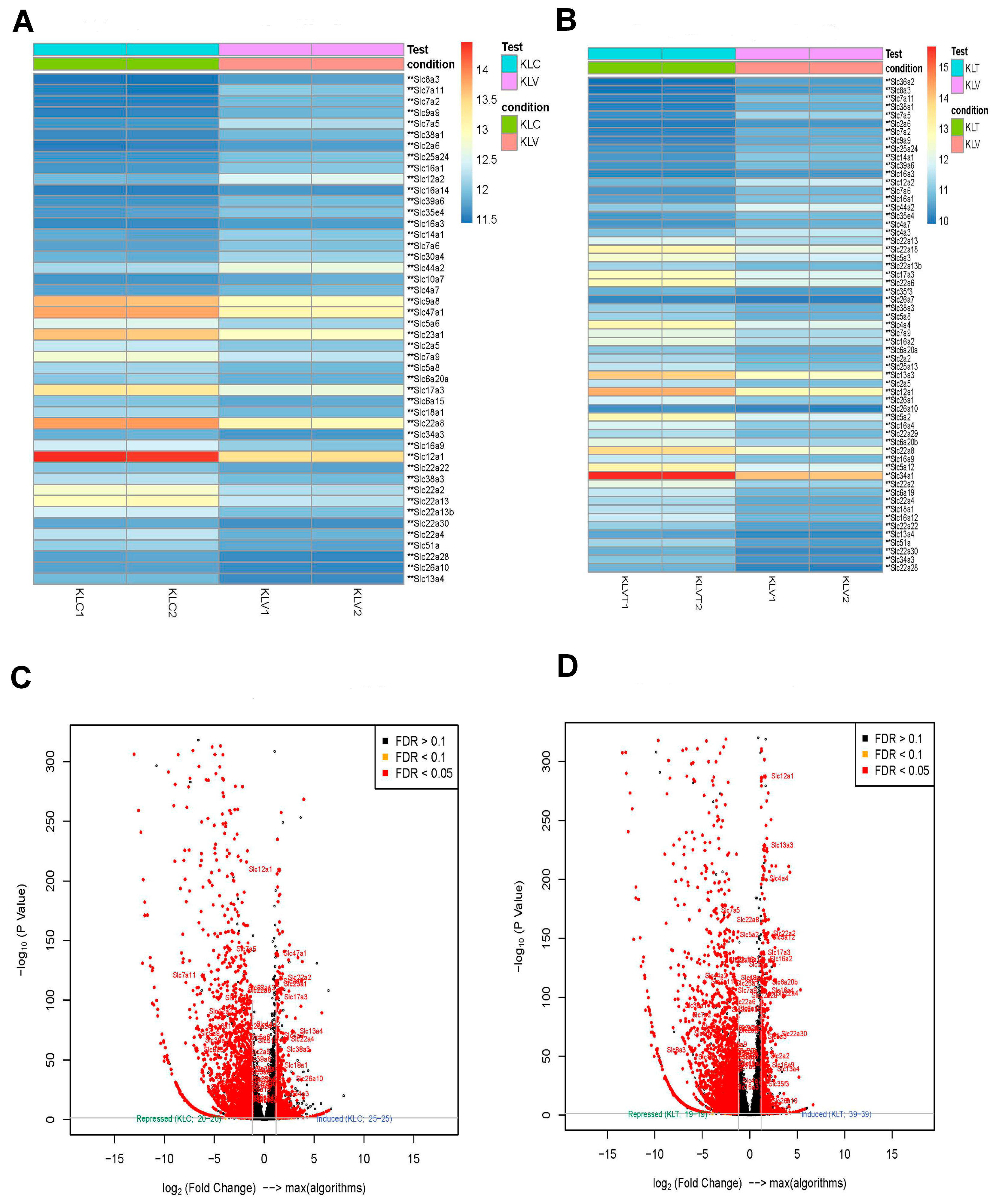 Diseases 13 00246 g007 Diseases 13 00246 g007
