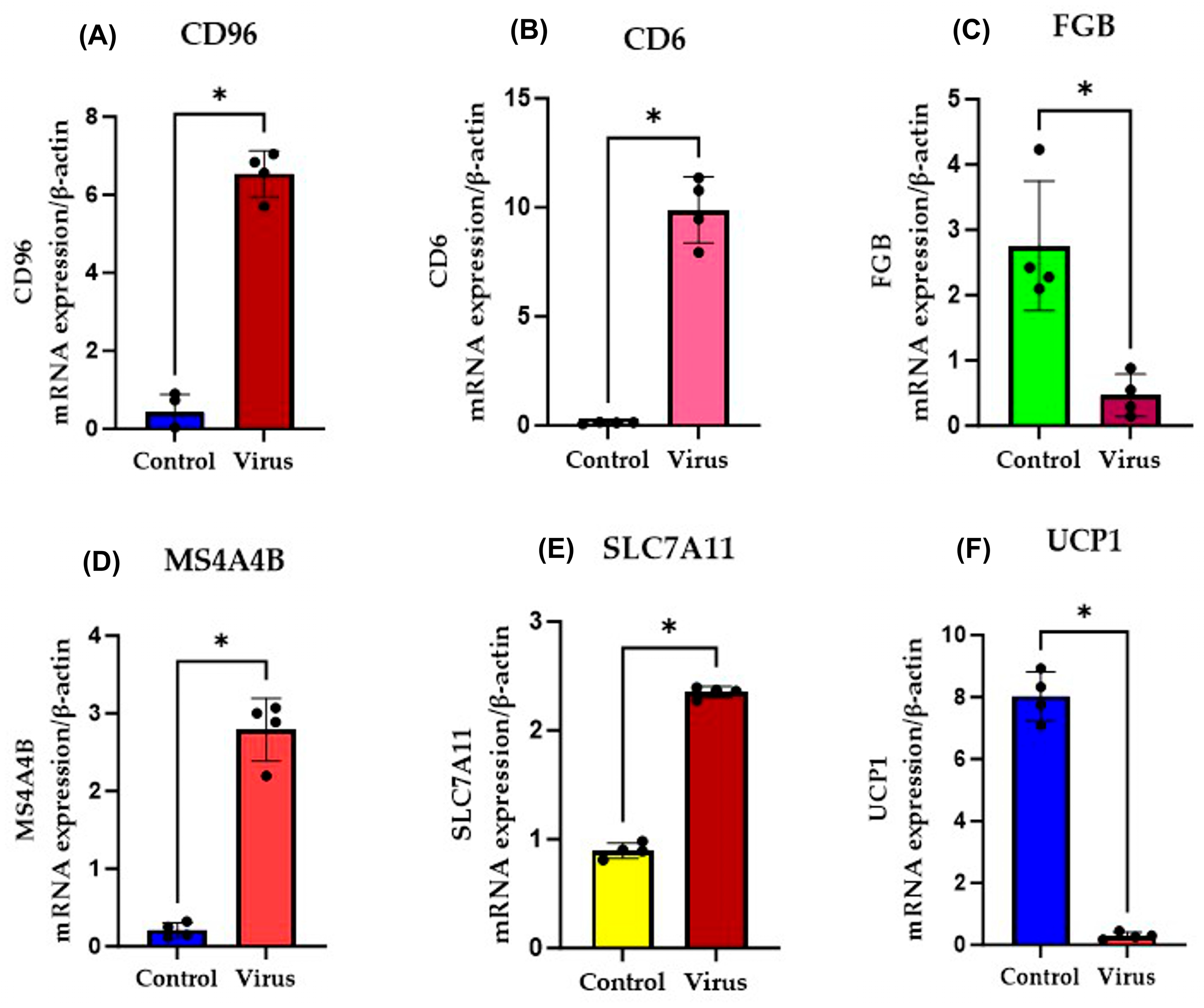 Diseases 13 00246 g008 Diseases 13 00246 g008