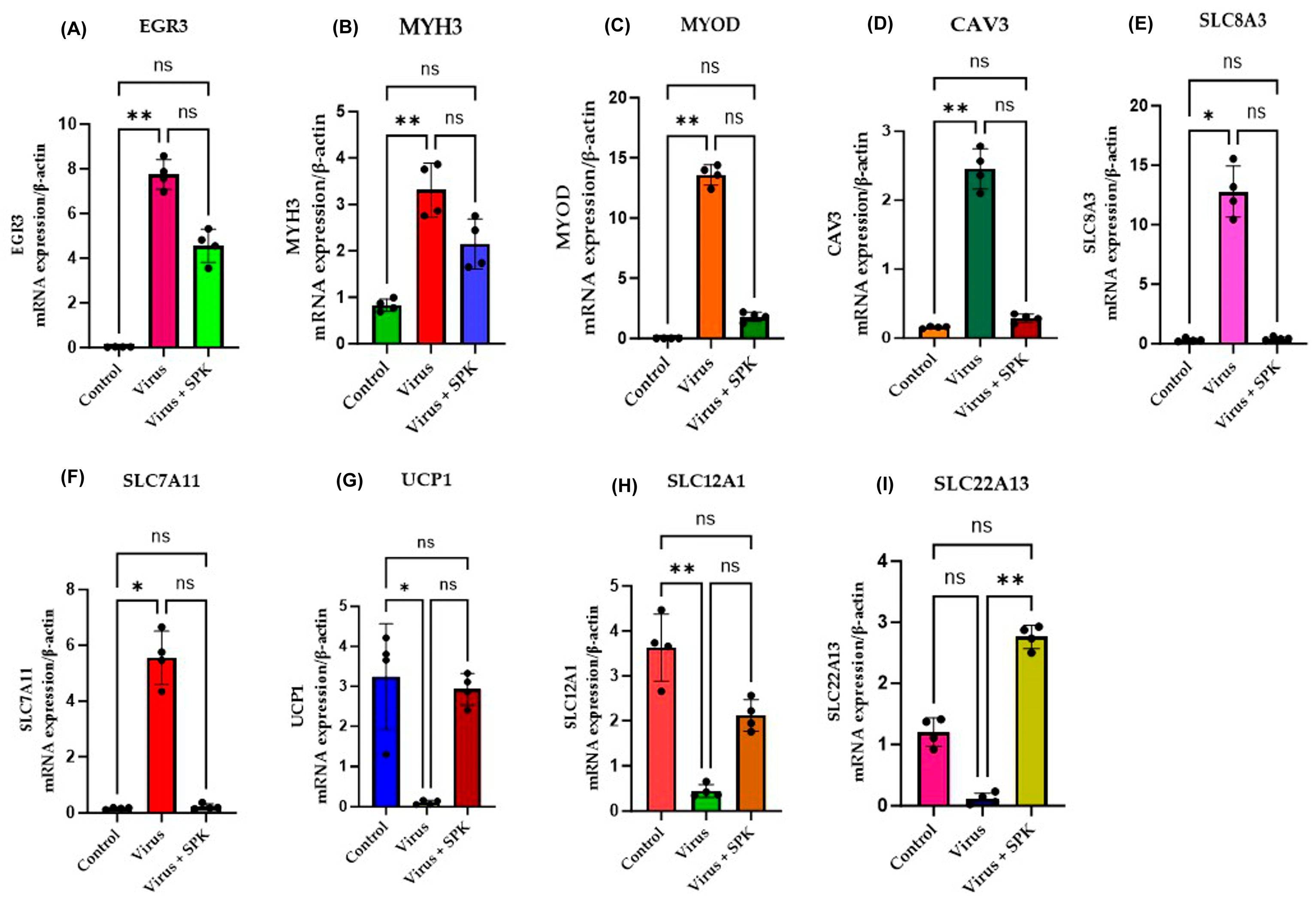 Diseases 13 00246 g009 Diseases 13 00246 g009