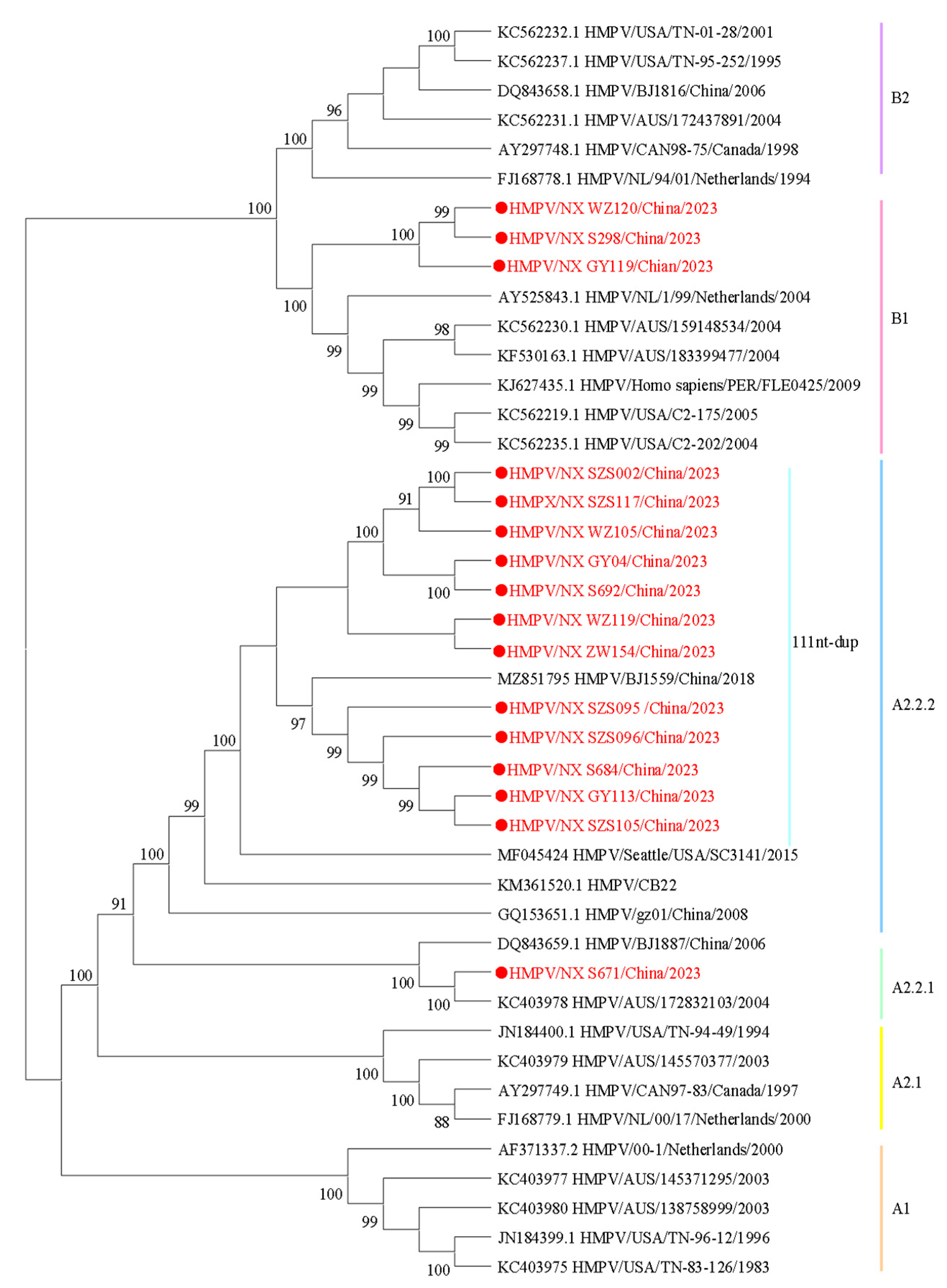Diseases 13 00255 g002 Diseases 13 00255 g002