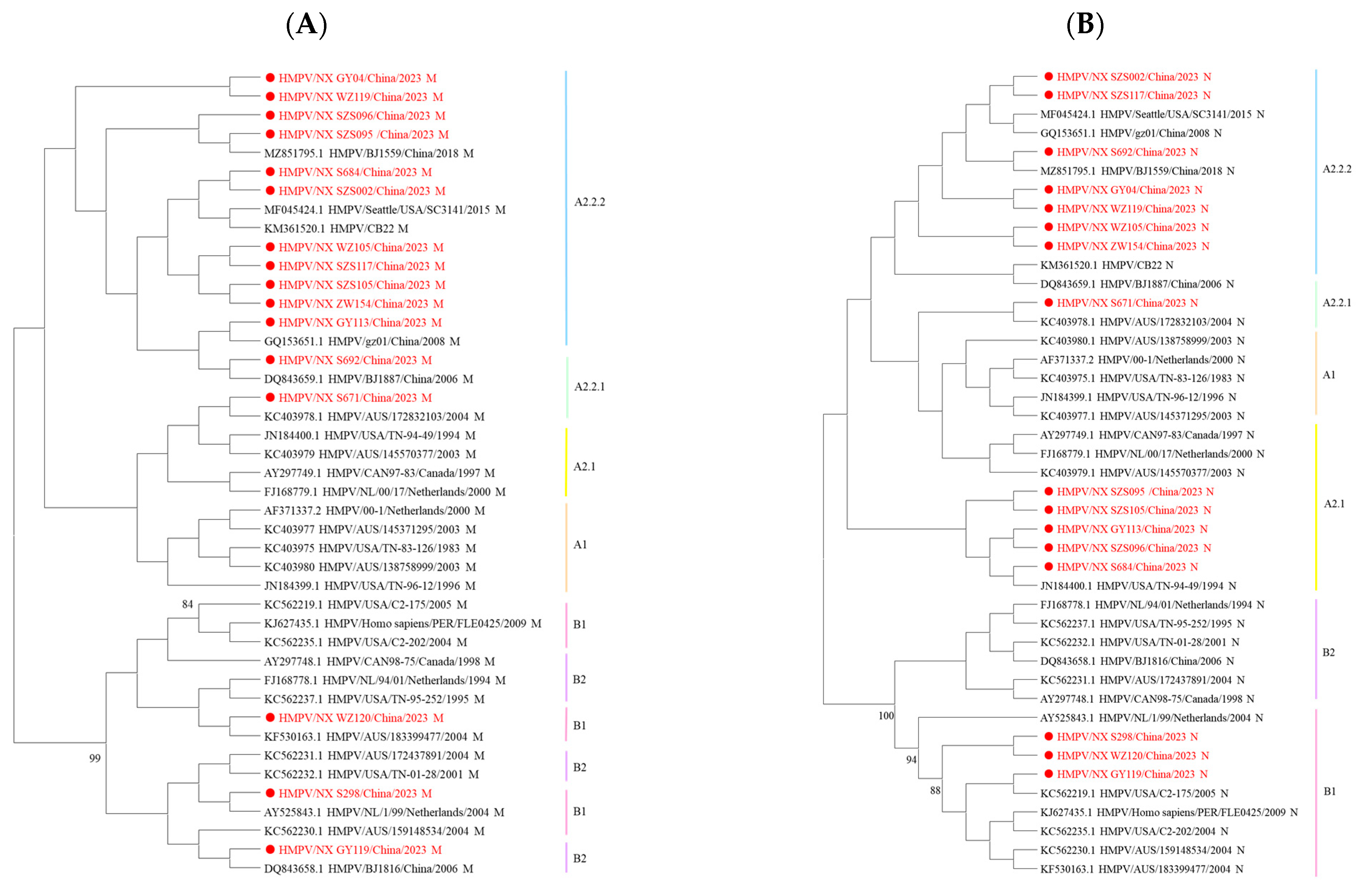 Diseases 13 00255 g003 Diseases 13 00255 g003