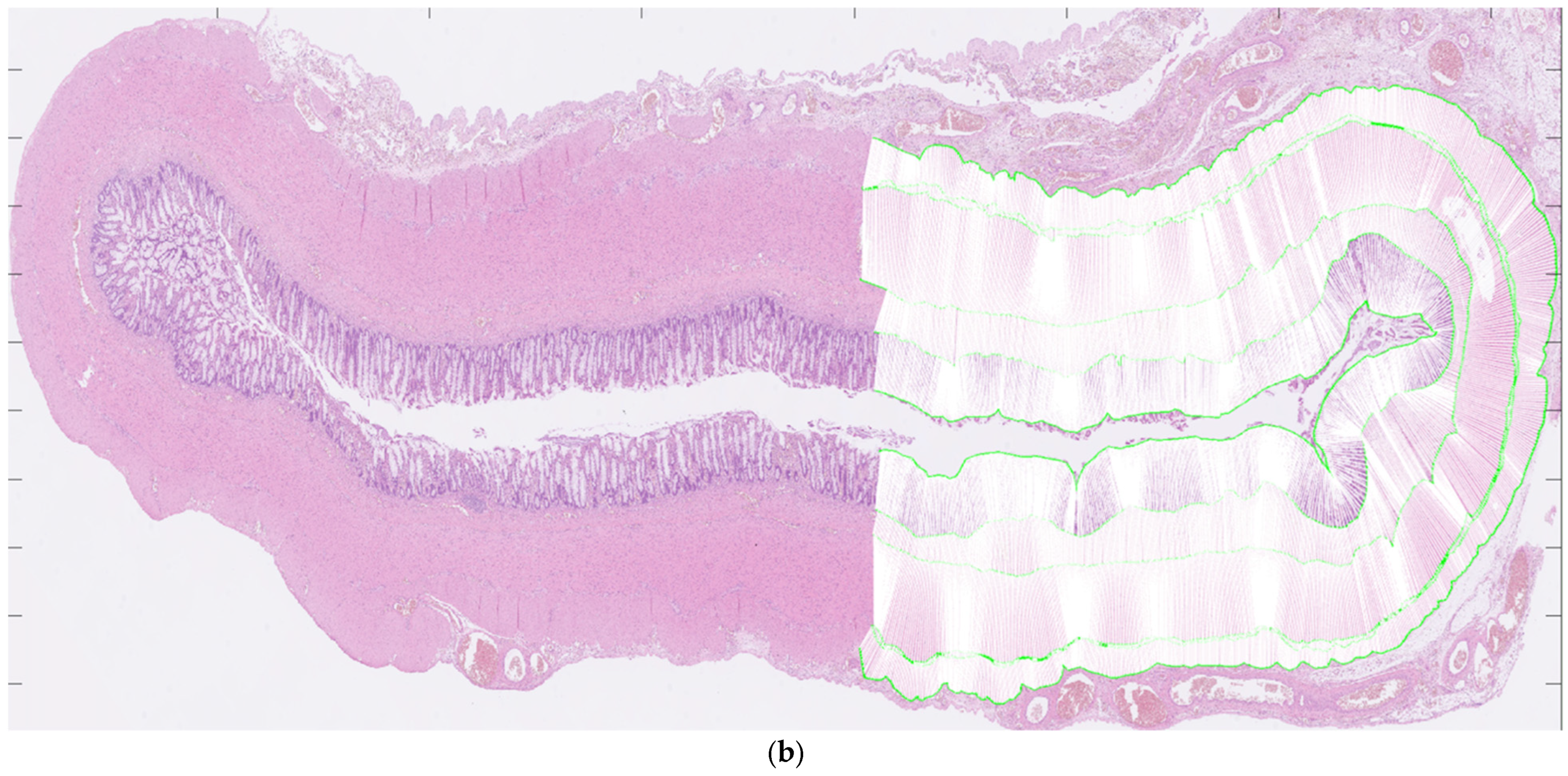 Diseases 13 00264 g001b Diseases 13 00264 g001b