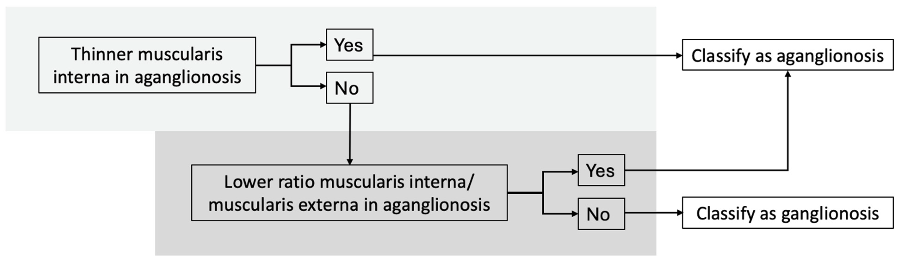 Diseases 13 00264 g004 Diseases 13 00264 g004