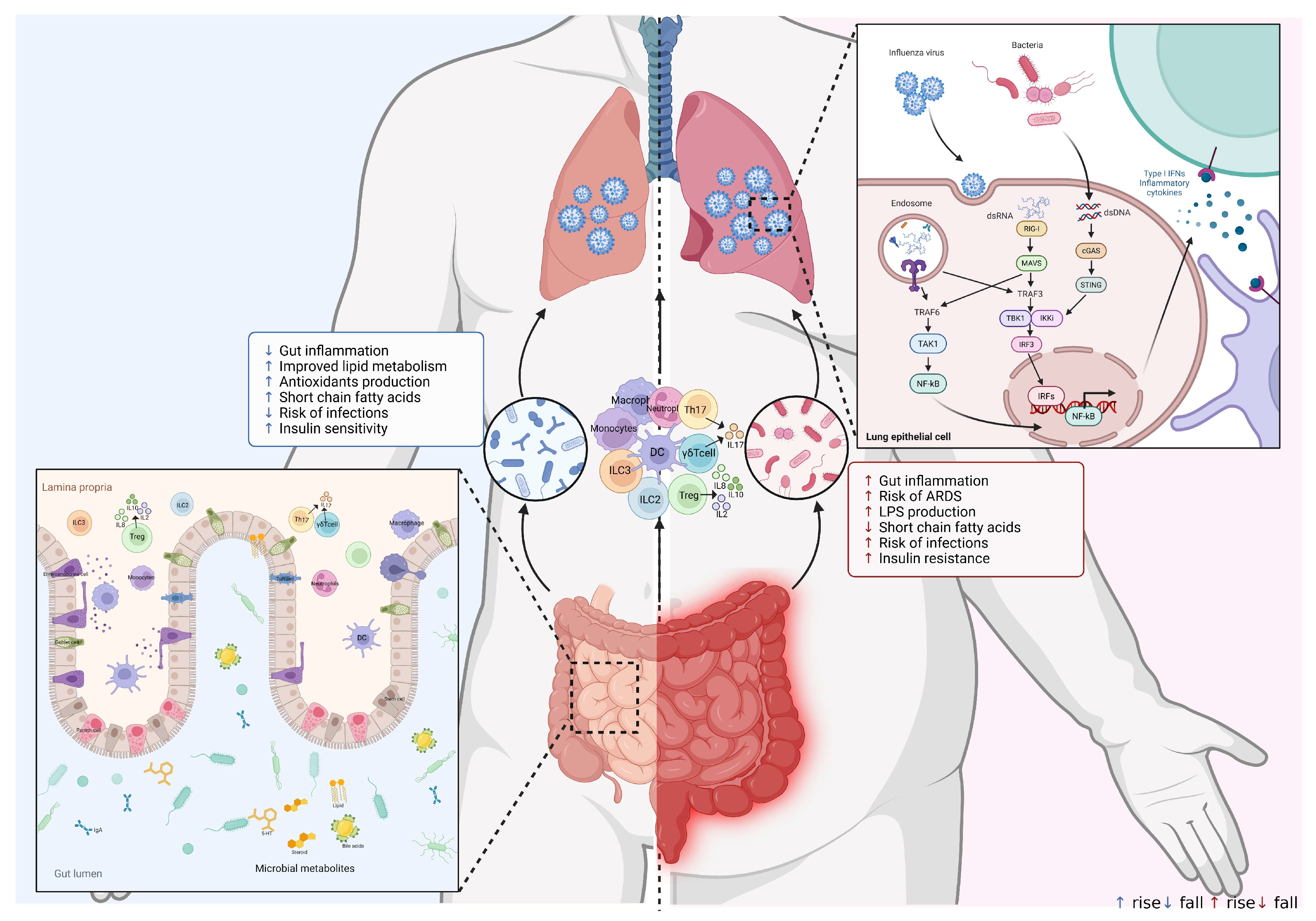 Diseases 13 00267 g002