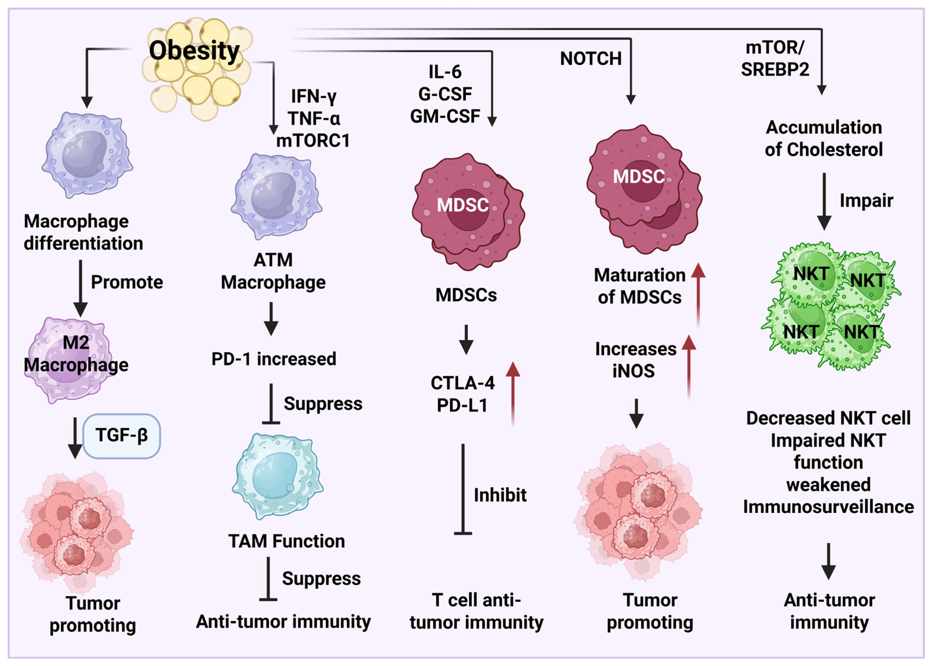 Diseases 13 00271 g002