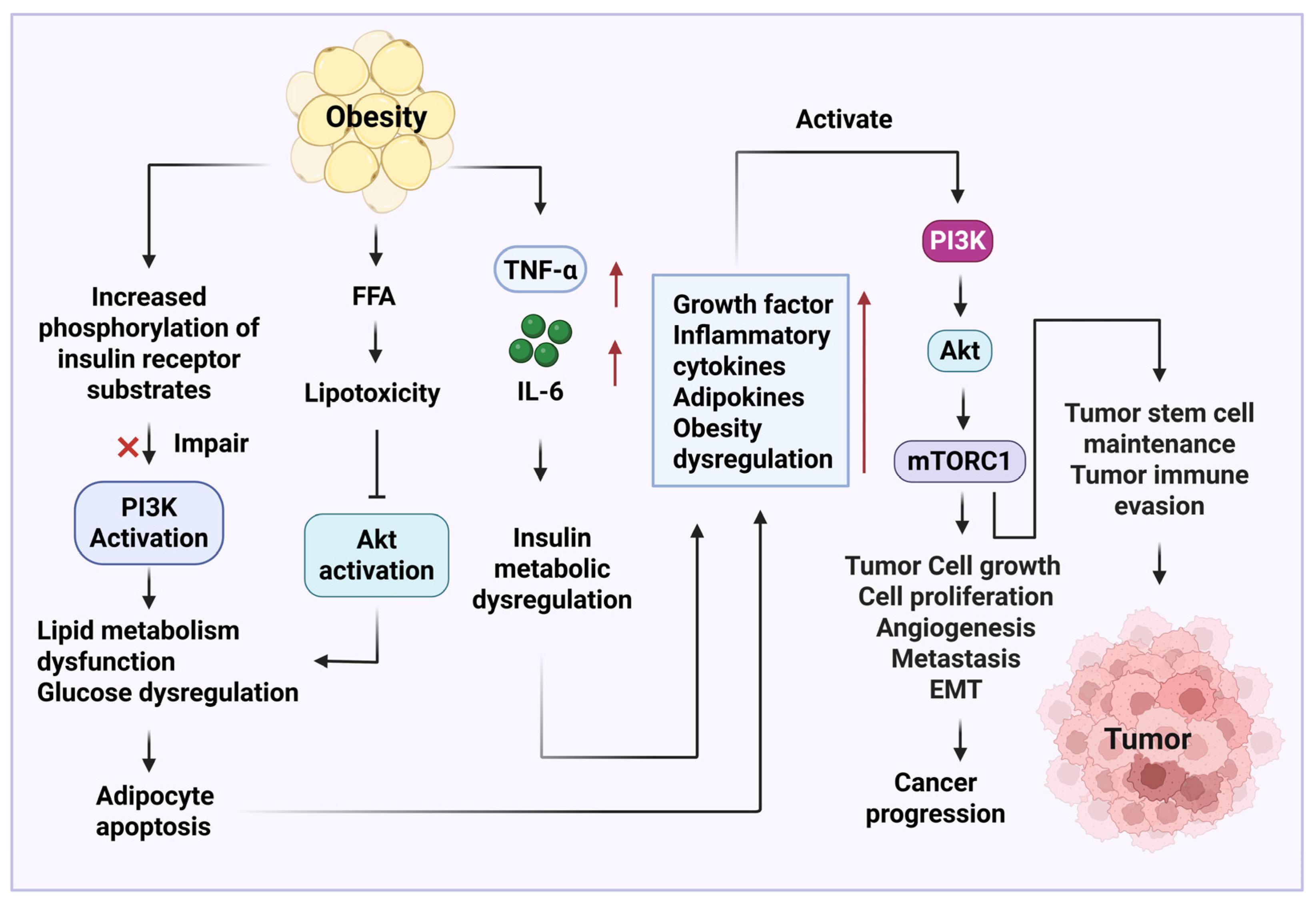 Diseases 13 00271 g003