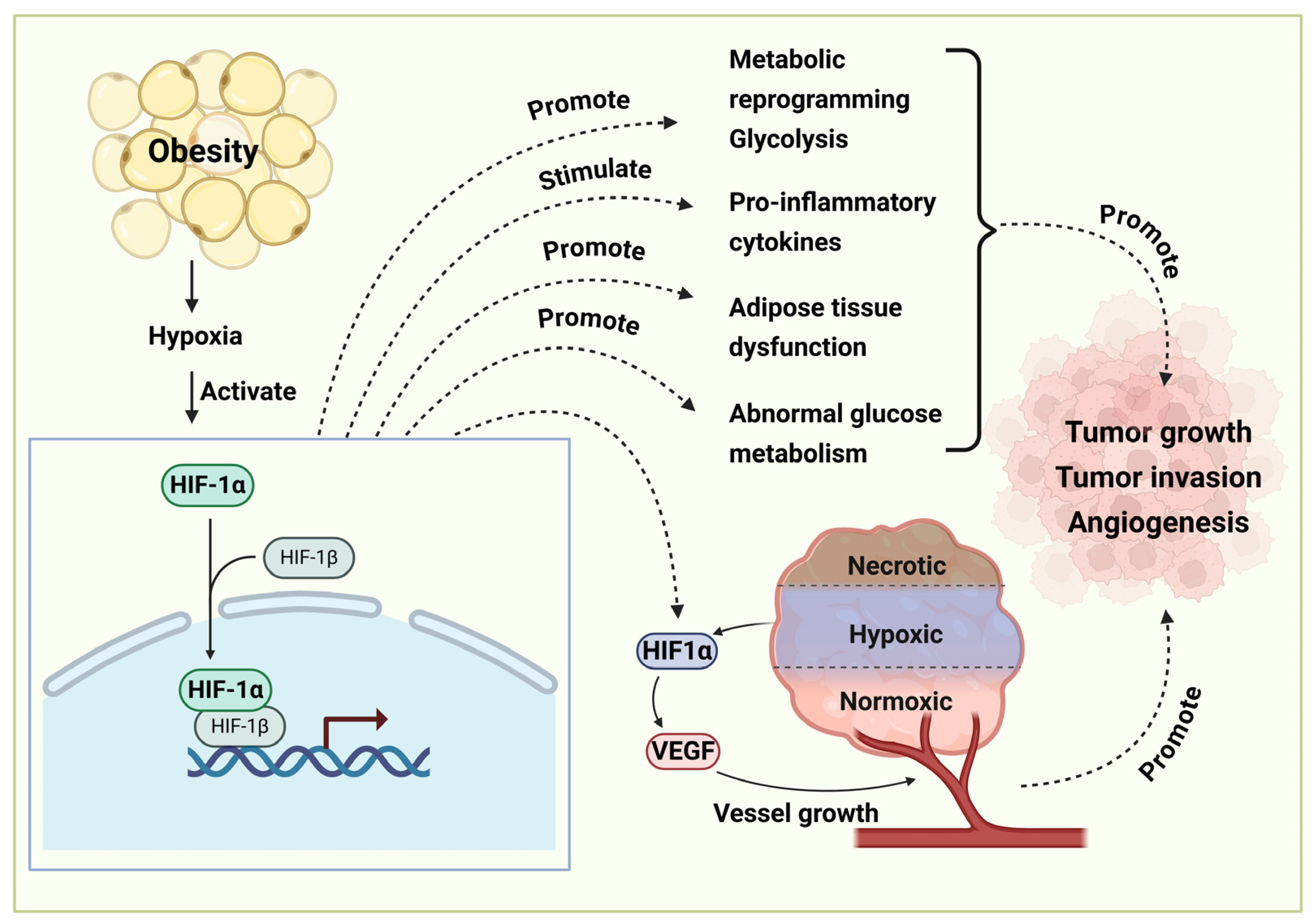 Diseases 13 00271 g005