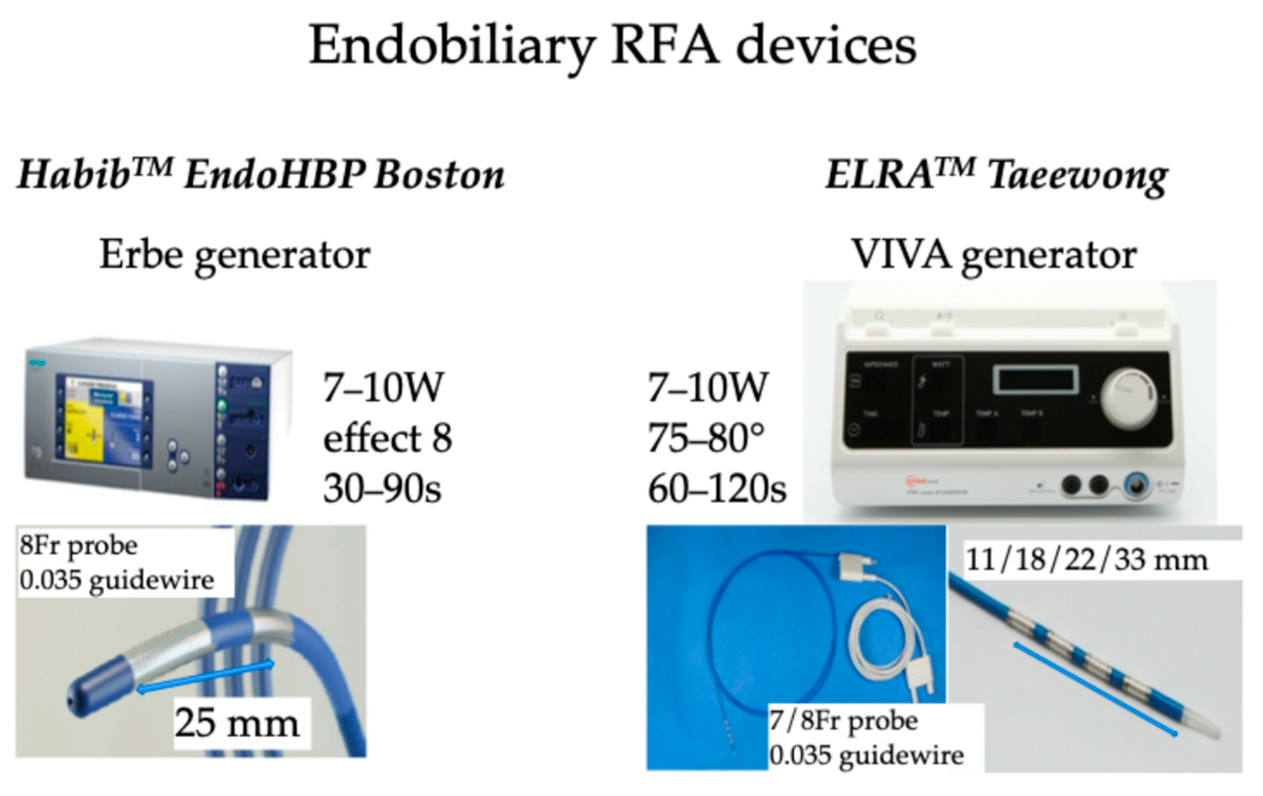 Diseases 13 00273 g002 Diseases 13 00273 g002