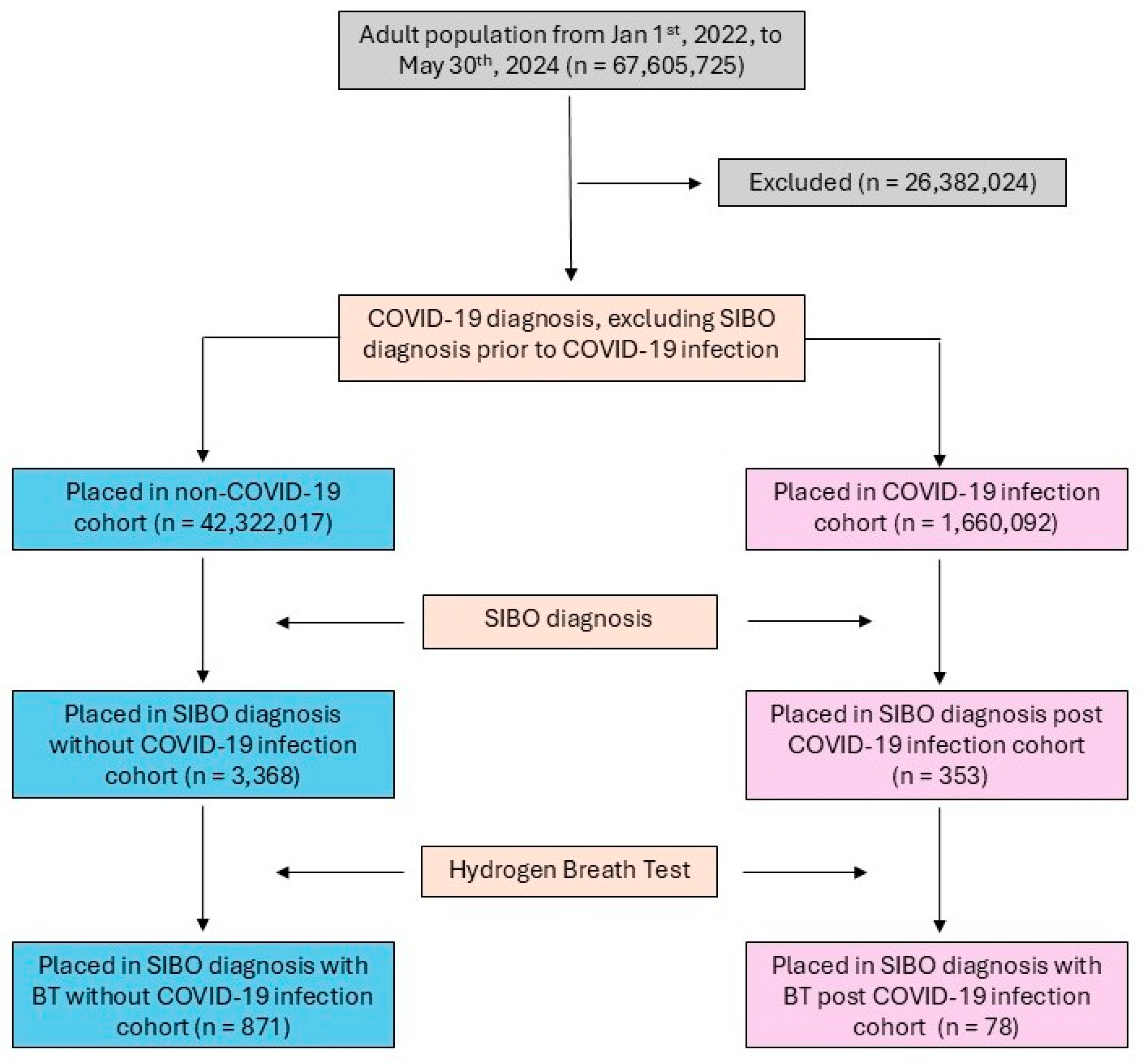 Diseases 13 00275 g001 Diseases 13 00275 g001