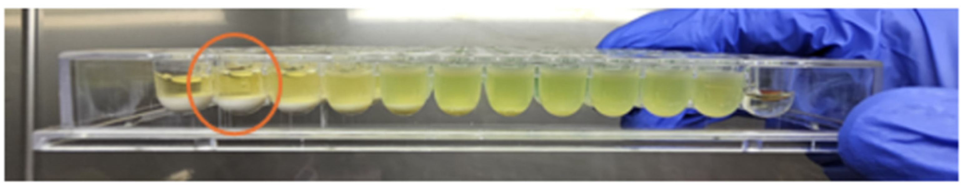 Diseases 13 00277 g001 Diseases 13 00277 g001