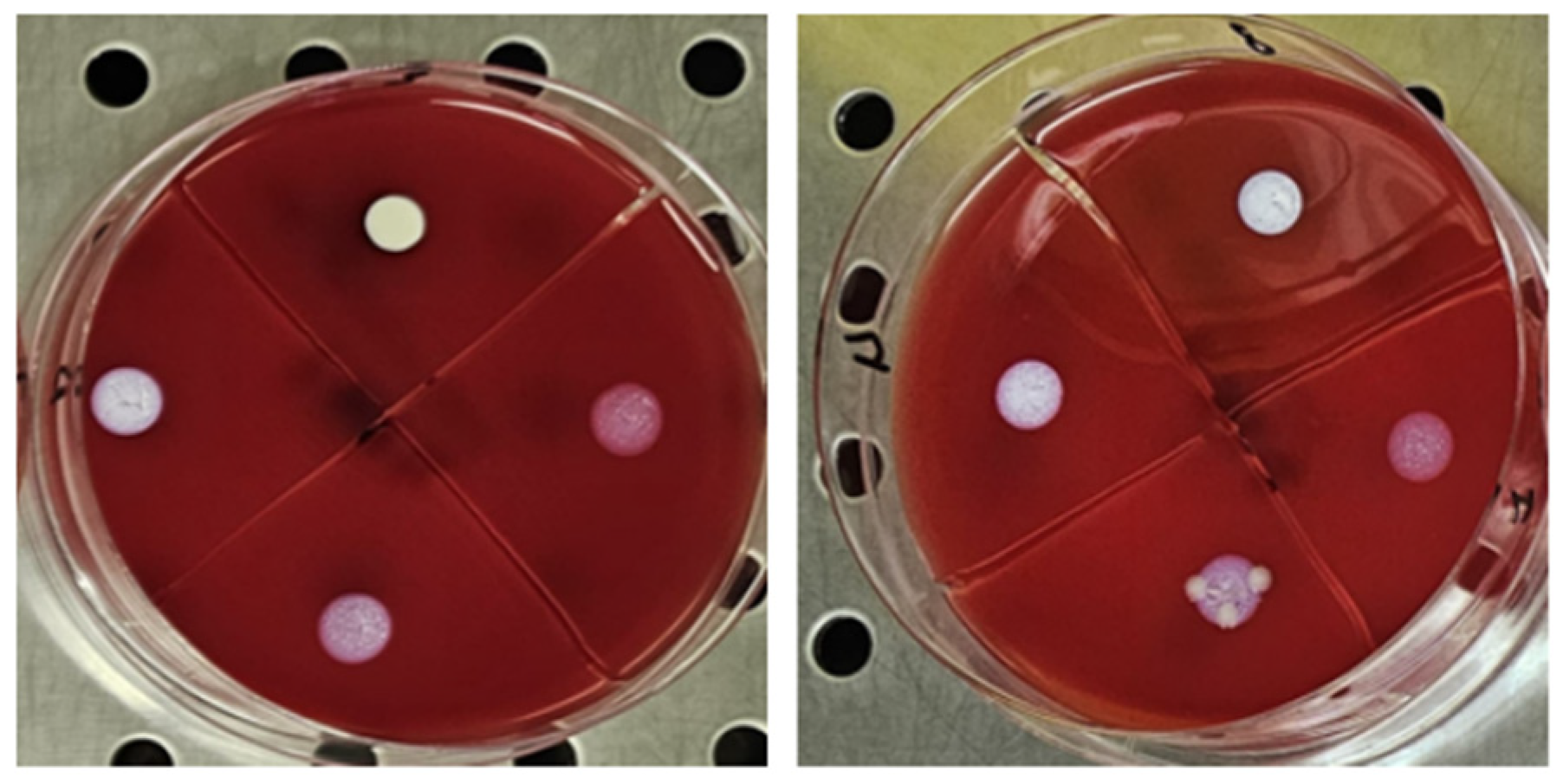 Diseases 13 00277 g002 Diseases 13 00277 g002