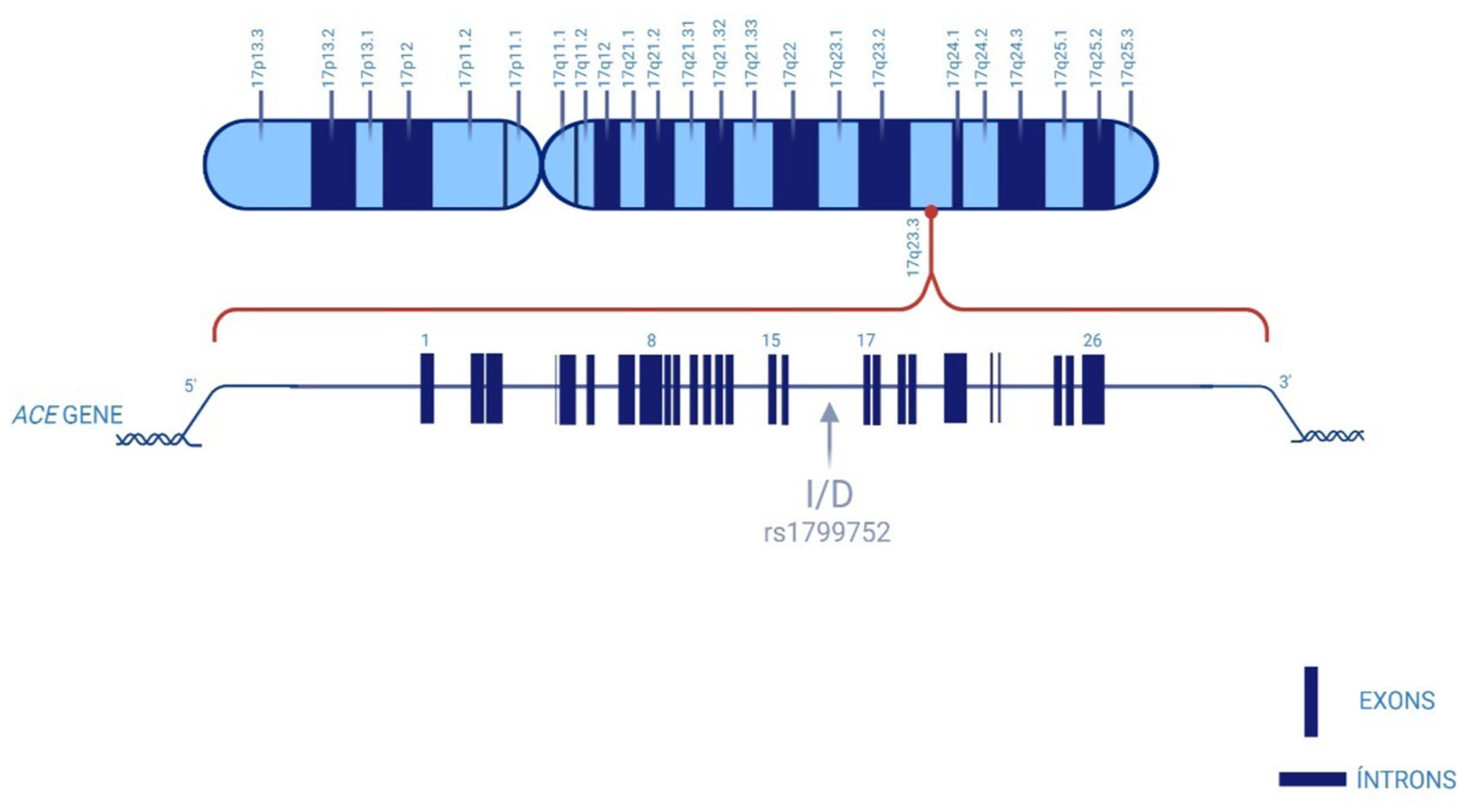 Diseases 13 00289 g001
