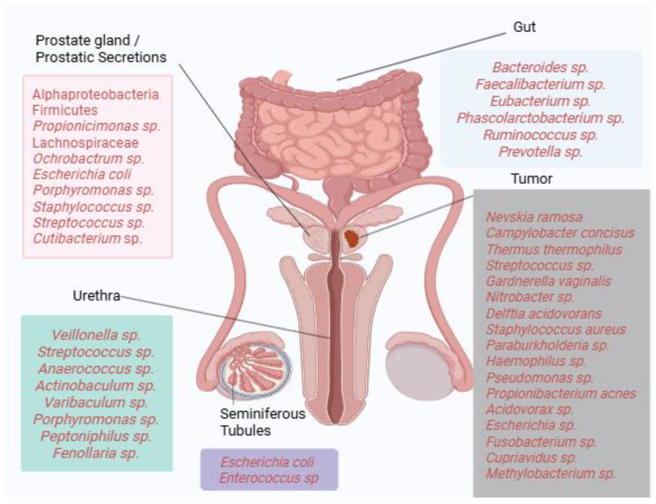 Diseases 13 00294 g001 Diseases 13 00294 g001