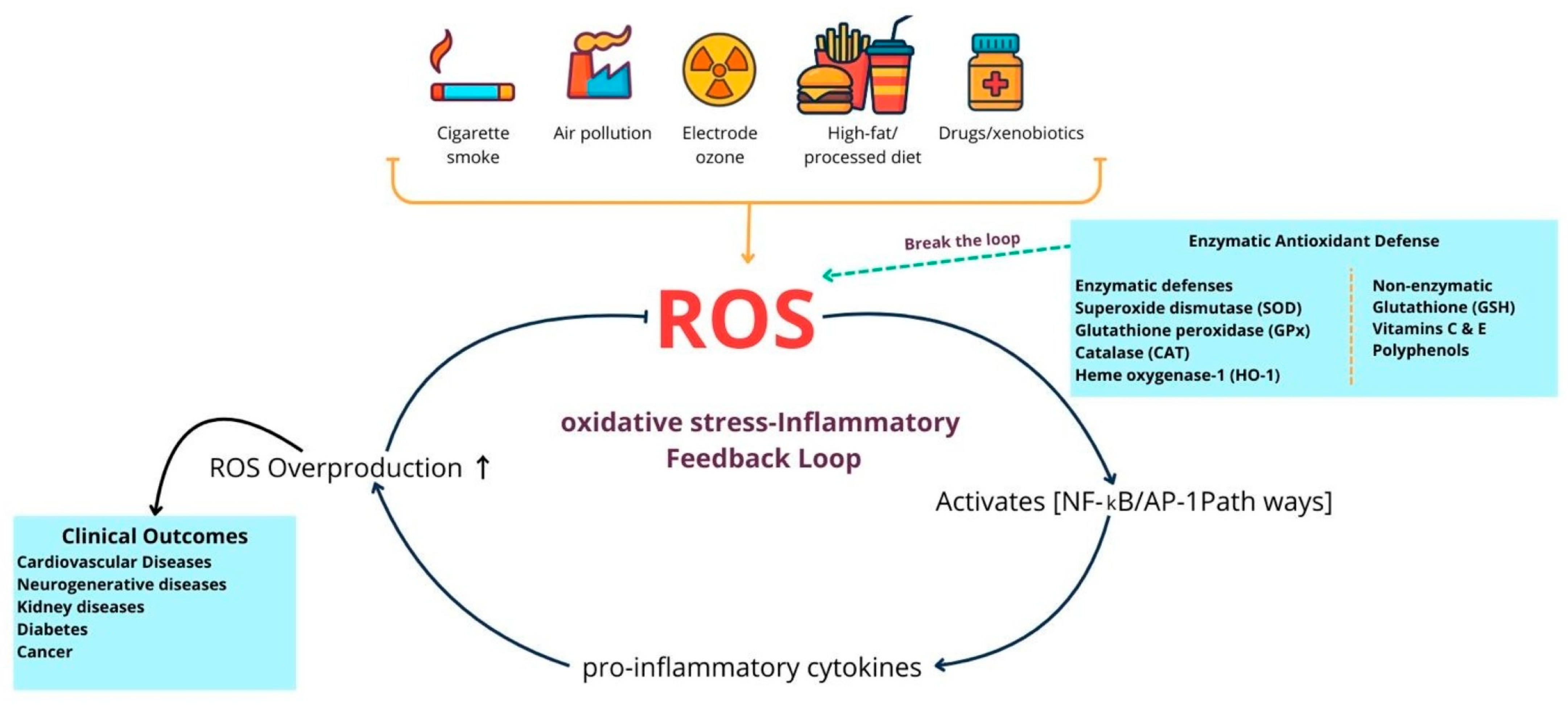 Diseases 13 00309 g001 Diseases 13 00309 g001
