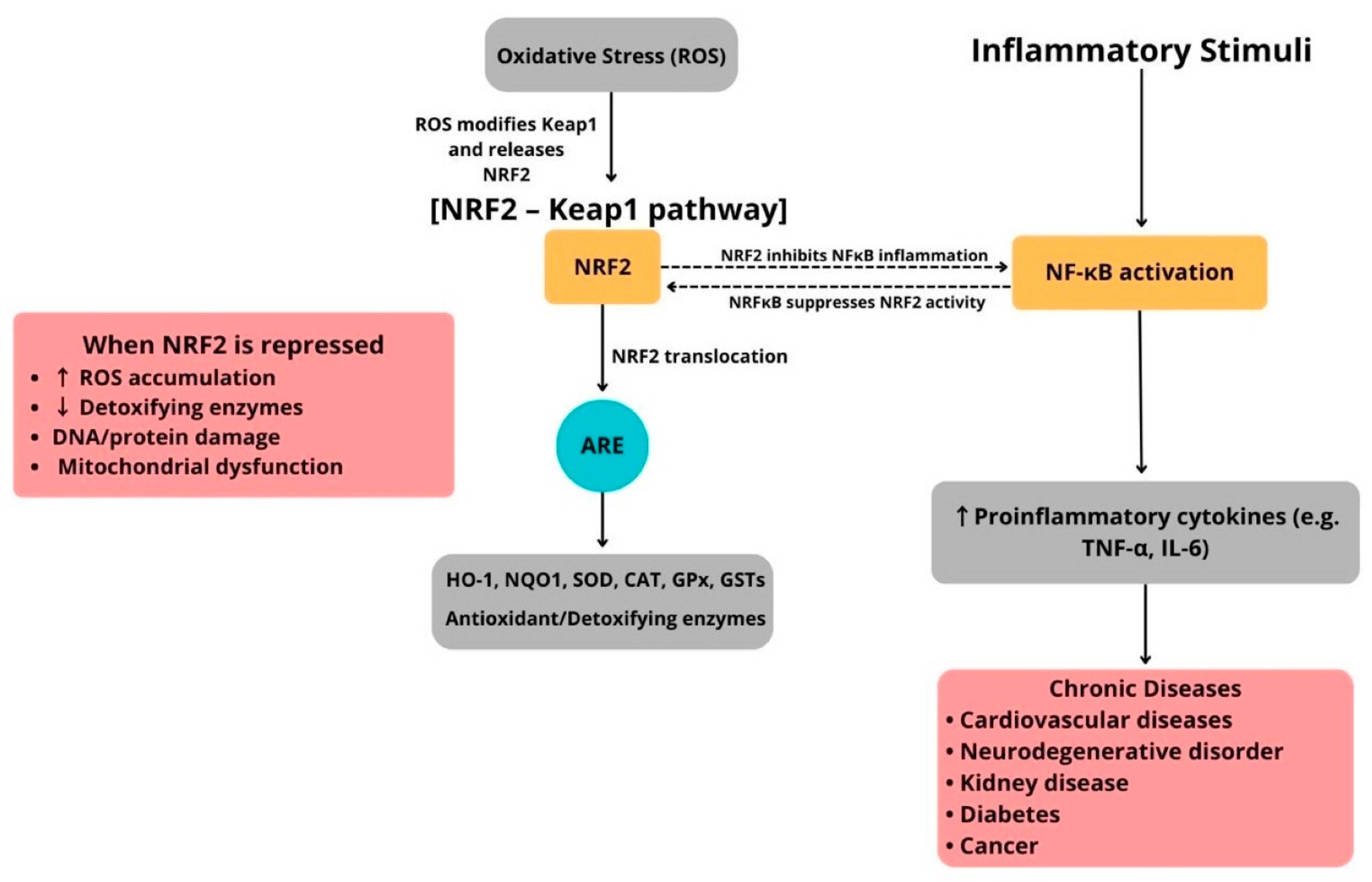 Diseases 13 00309 g002 Diseases 13 00309 g002